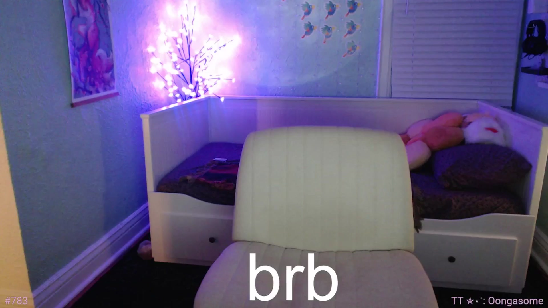 Gallery image thumbnail from Jane_Fern's myfreecams stream on, 06/24/2025, 04:21 image 3 of 20