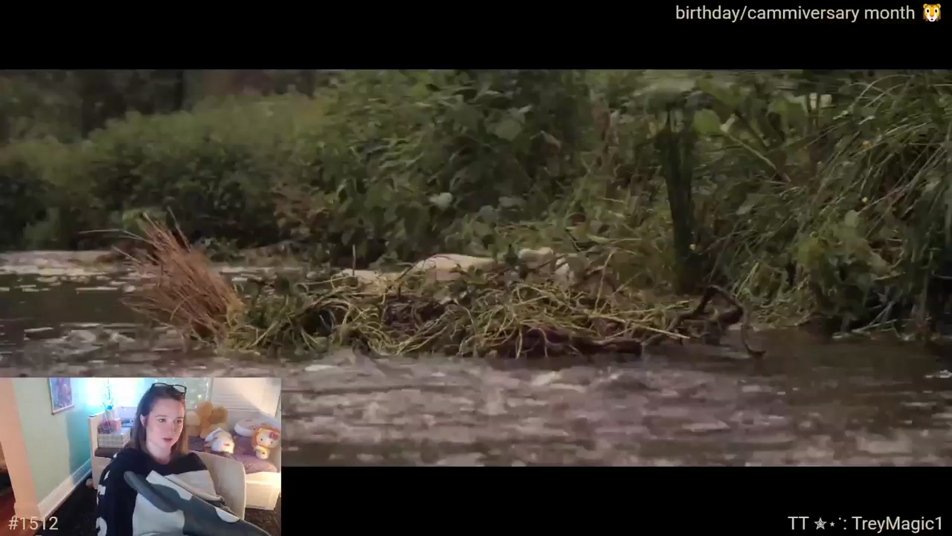 Gallery image thumbnail from Jane_Fern's myfreecams stream on, 08/14/2025, 05:16 image 2 of 20