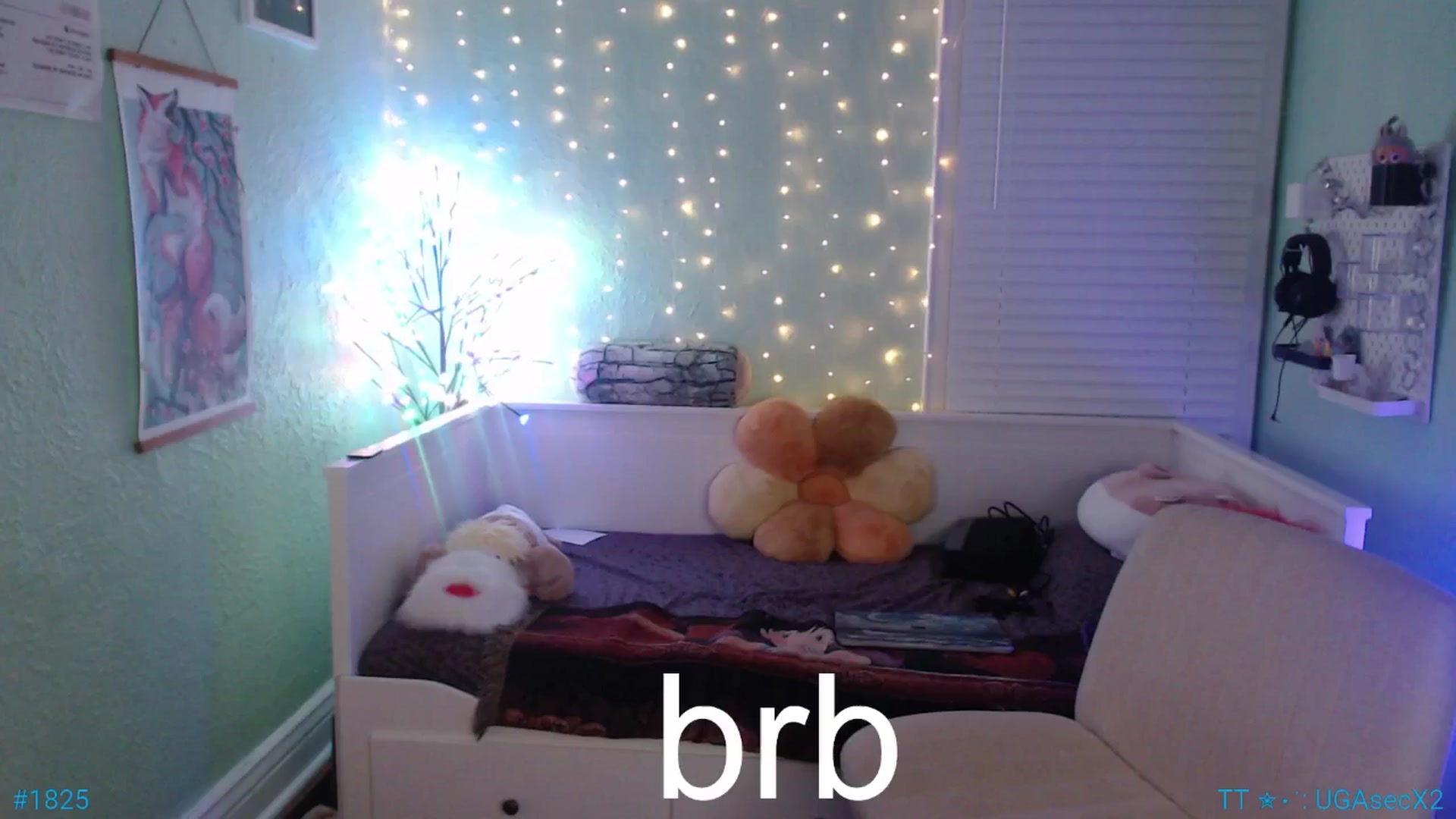 Gallery image thumbnail from Jane_Fern's myfreecams stream on, 09/04/2025, 04:16 image 11 of 20
