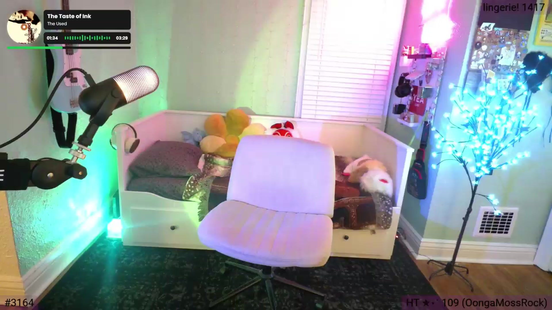 Gallery image thumbnail from Jane_Fern's myfreecams stream on, 05/14/2026, 02:53 image 17 of 20
