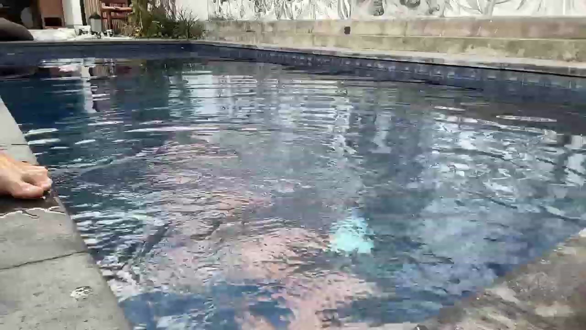 Gallery image thumbnail from JasSurfGirl's myfreecams stream on, 10/11/2023, 23:25 image 17 of 20