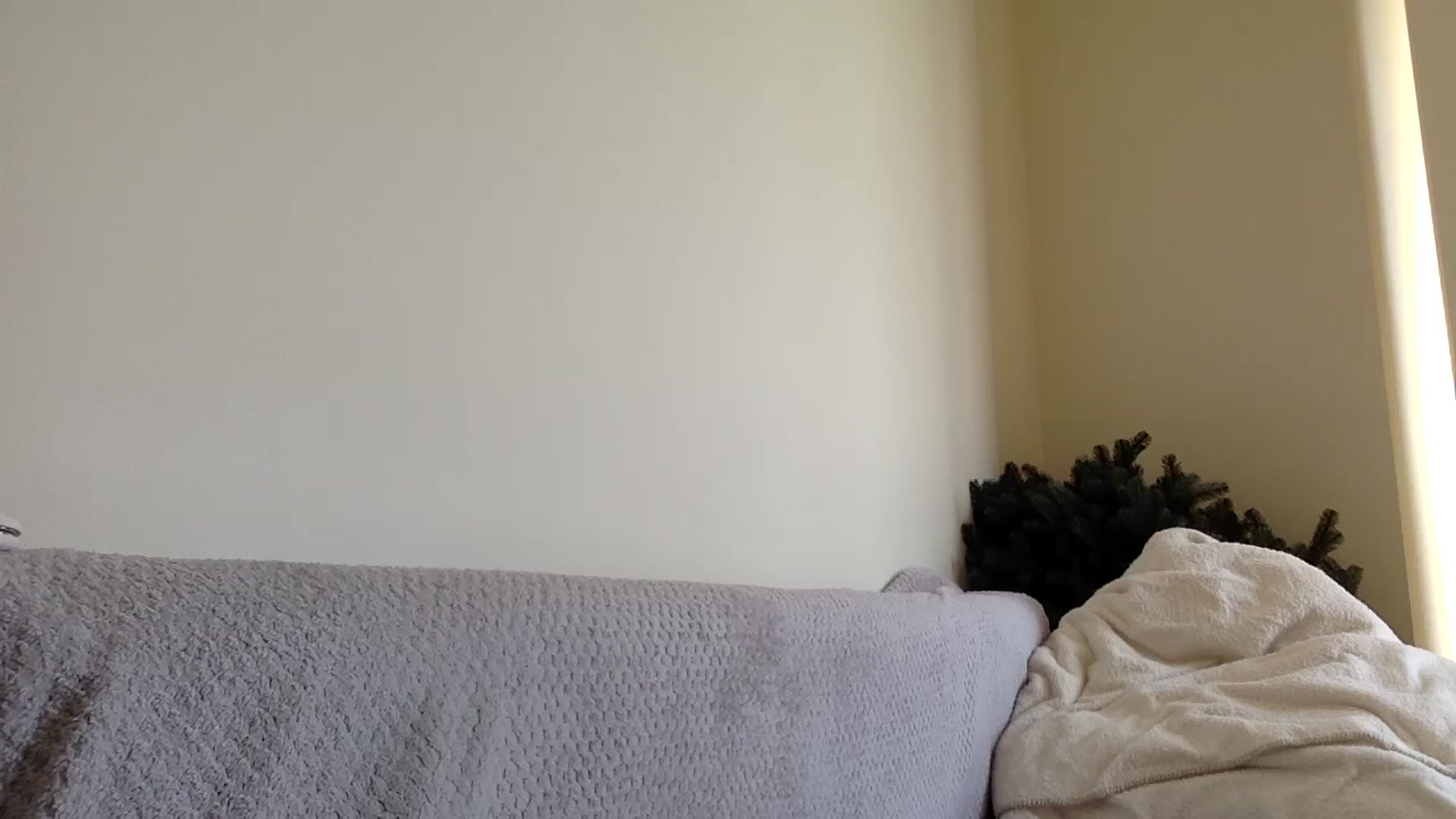 Gallery image thumbnail from Jasmi25's myfreecams stream on, 05/11/2026, 15:12 image 13 of 20