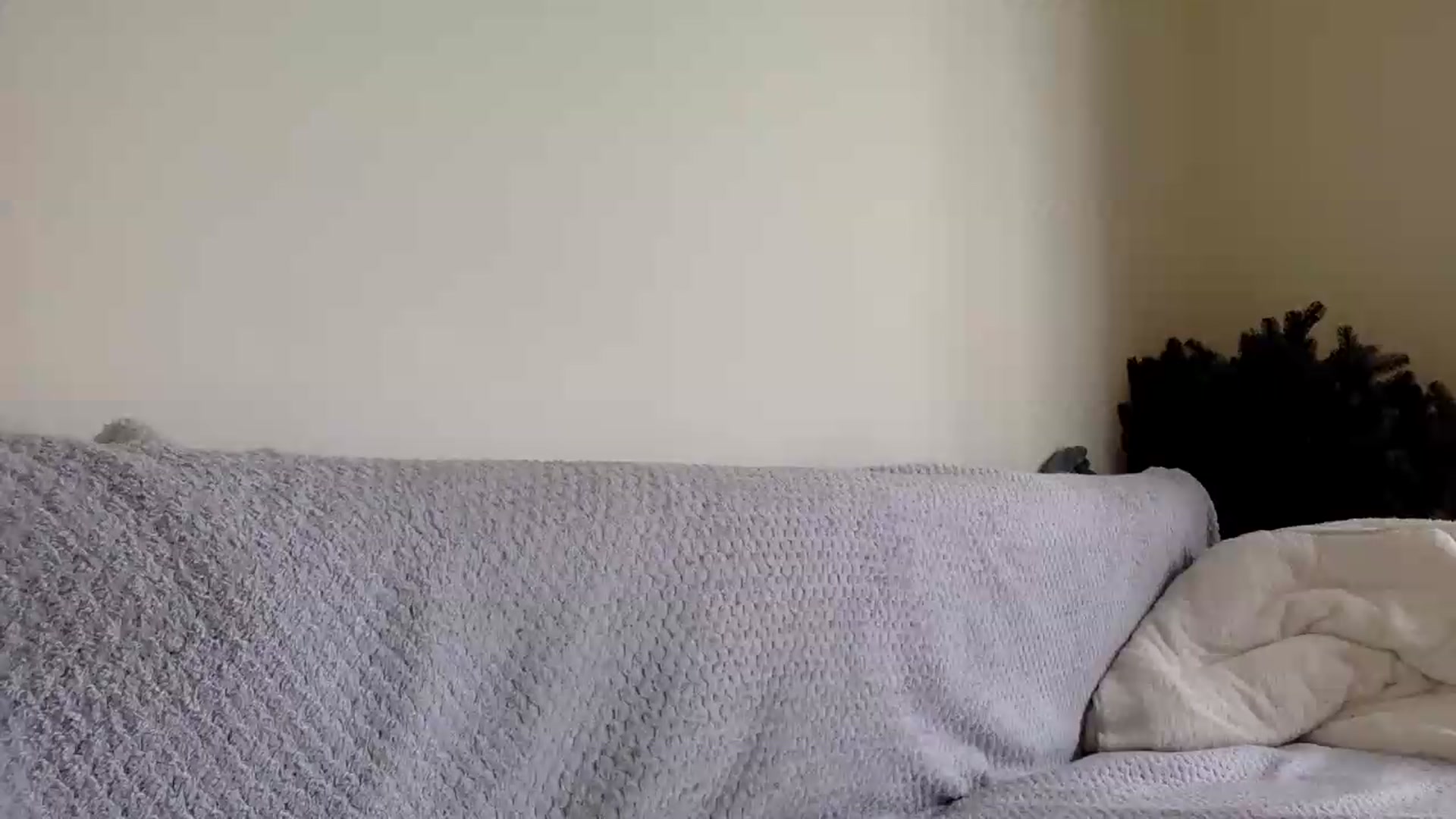 Gallery image thumbnail from Jasmi25's myfreecams stream on, 05/29/2026, 08:22 image 19 of 20