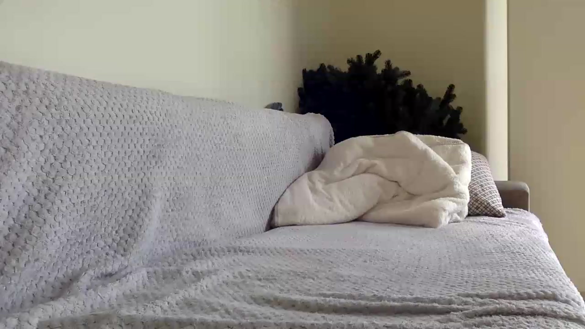 Gallery image thumbnail from Jasmi25's myfreecams stream on, 05/29/2026, 11:39 image 15 of 20