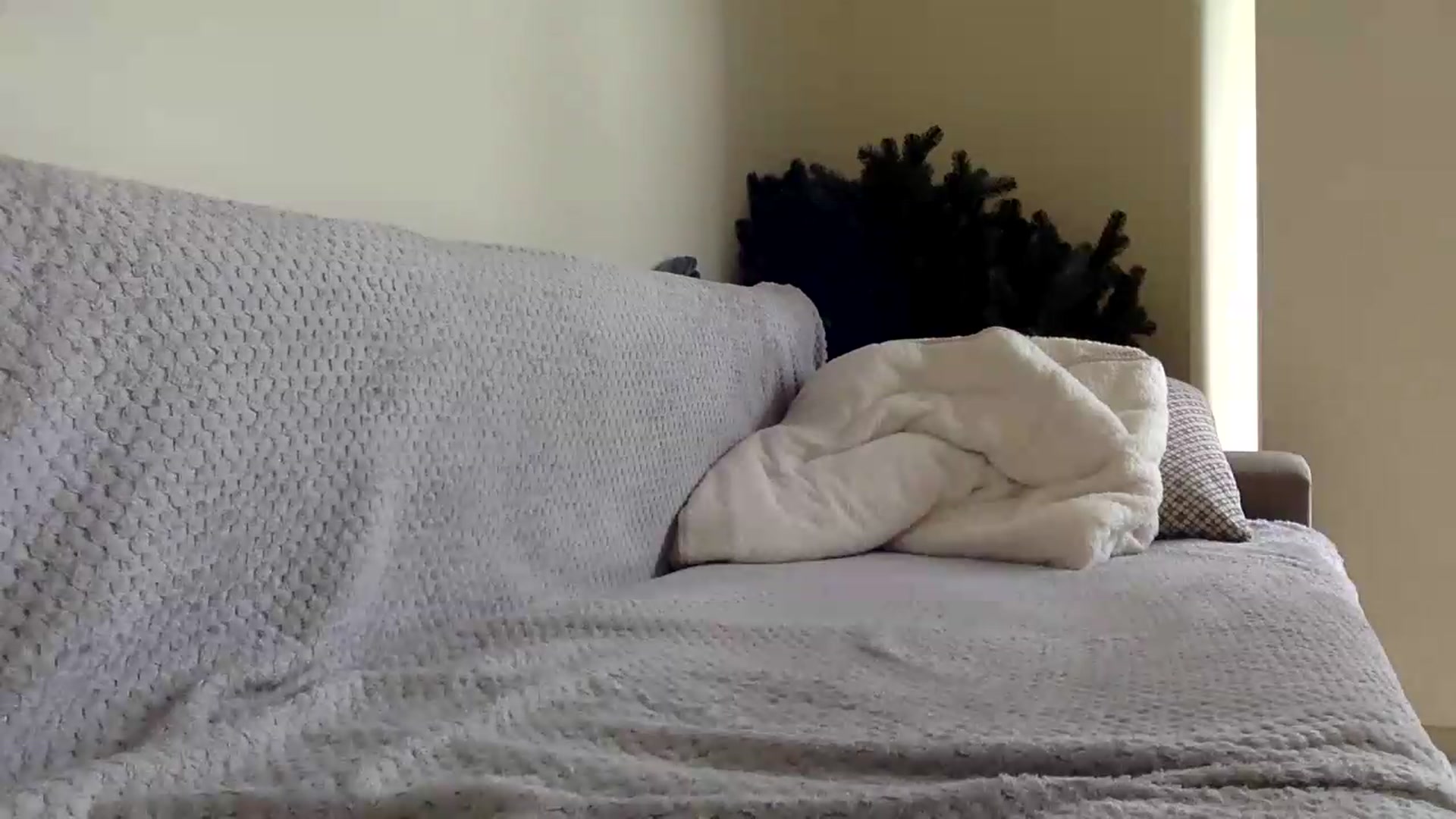 Gallery image thumbnail from Jasmi25's myfreecams stream on, 05/29/2026, 11:39 image 20 of 20
