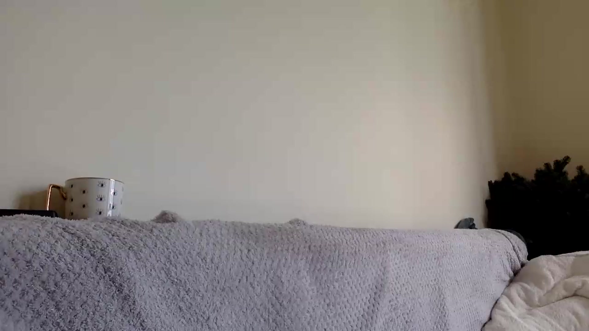 Gallery image thumbnail from Jasmi25's myfreecams stream on, 05/31/2026, 16:04 image 17 of 20