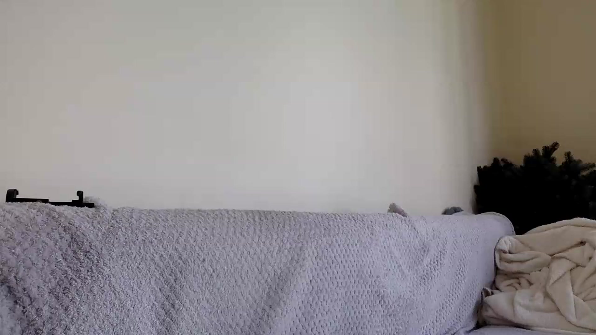 Gallery image thumbnail from Jasmi25's myfreecams stream on, 06/20/2026, 08:50 image 18 of 20