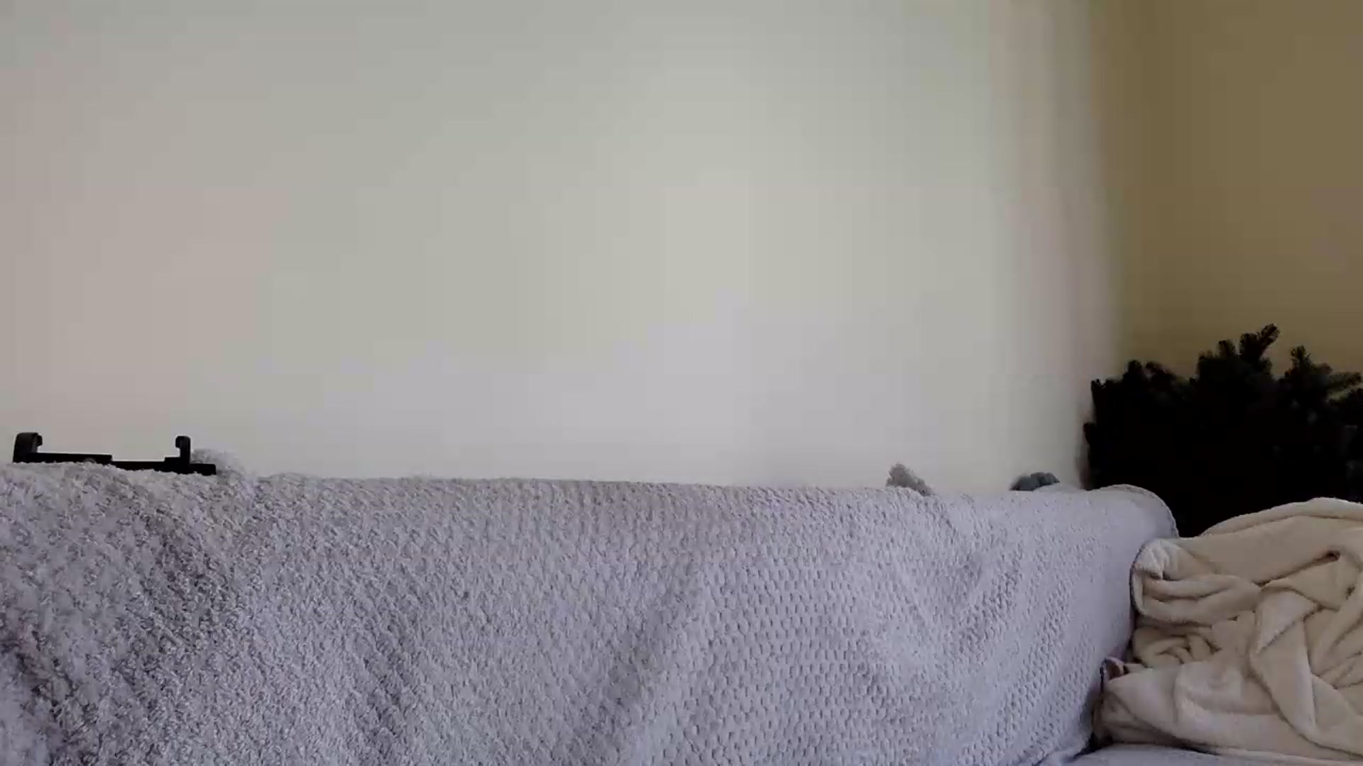 Gallery image thumbnail from Jasmi25's myfreecams stream on, 06/20/2026, 08:50 image 19 of 20