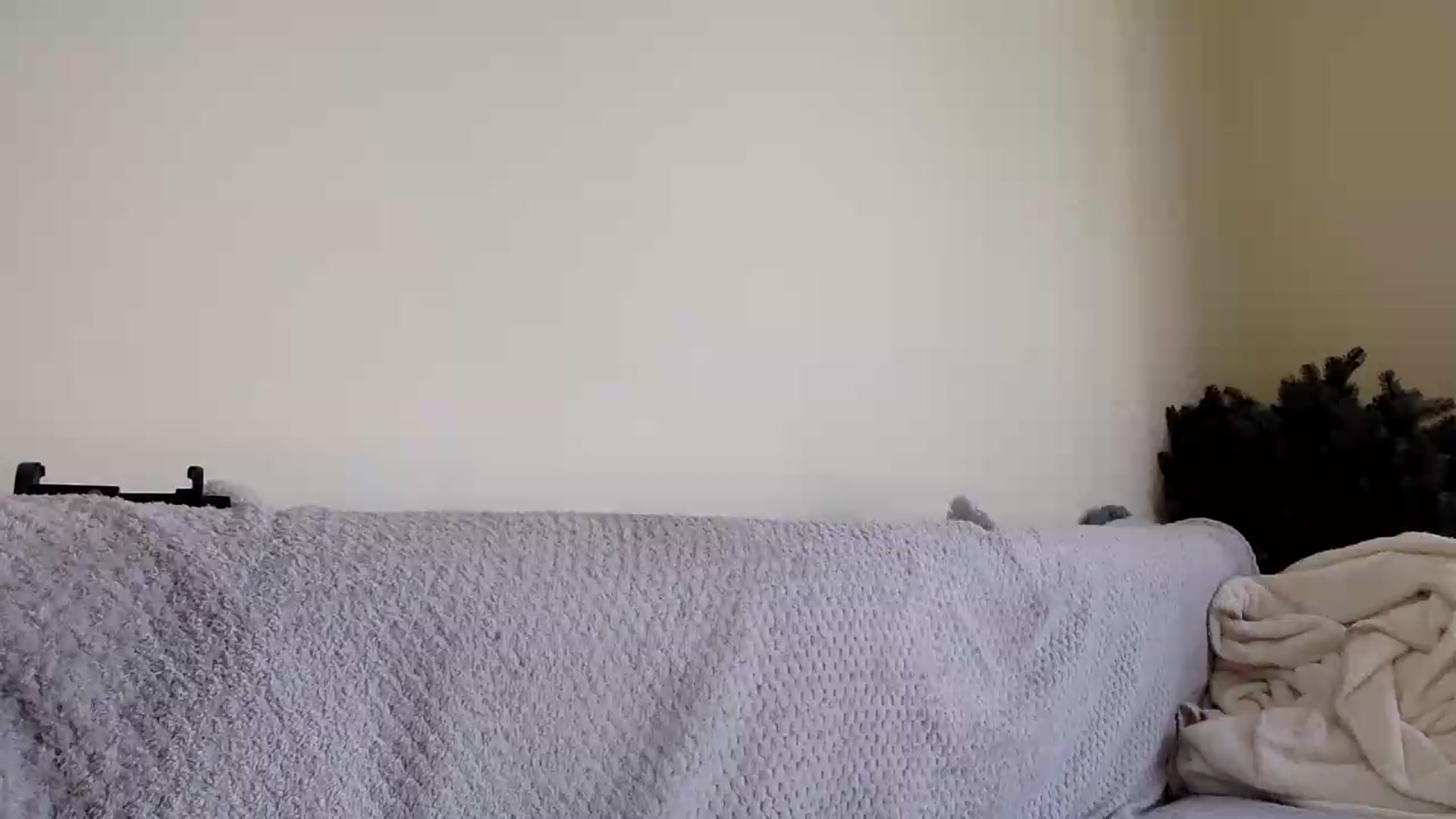 Gallery image thumbnail from Jasmi25's myfreecams stream on, 06/20/2026, 08:50 image 15 of 20