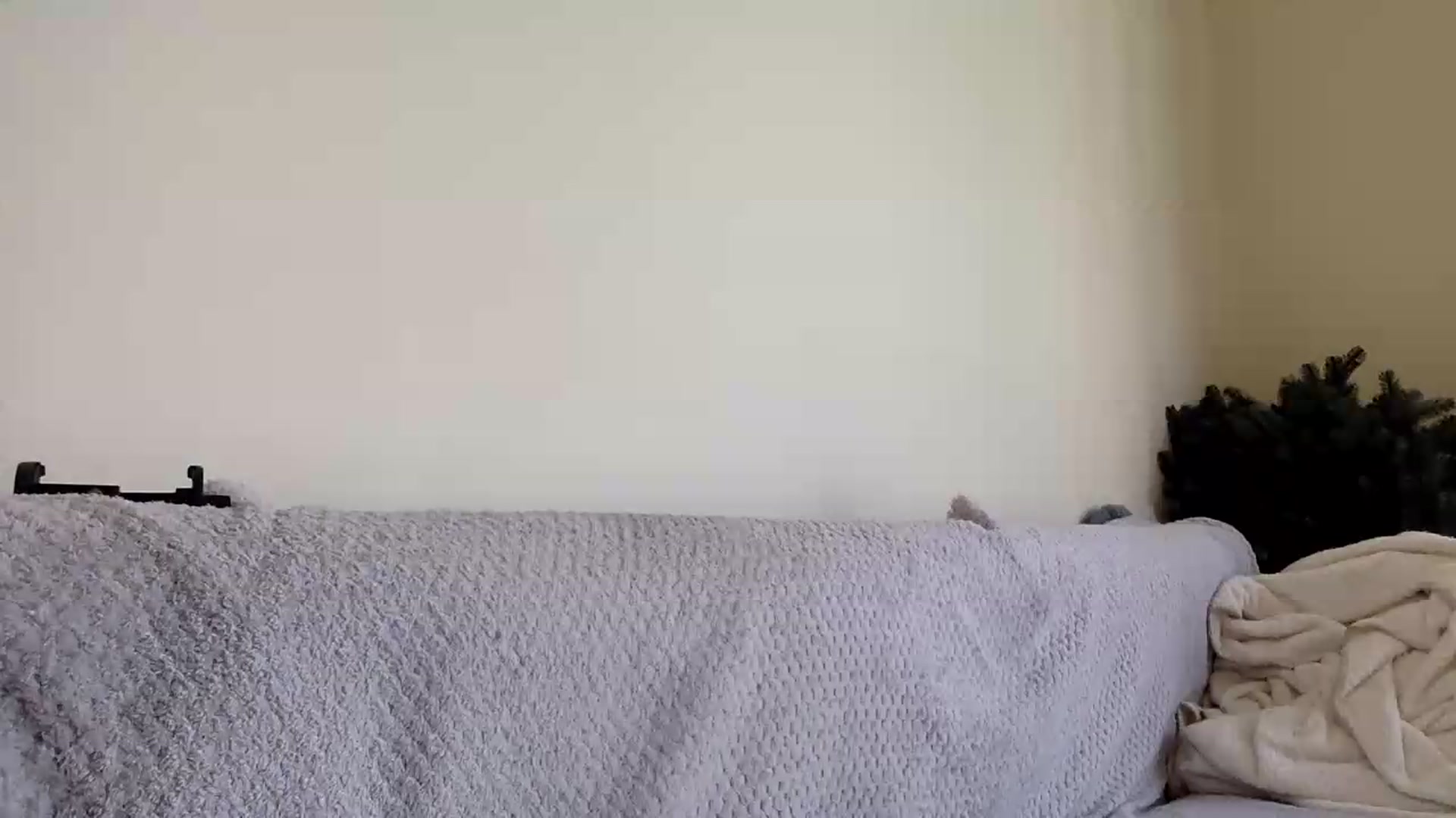 Gallery image thumbnail from Jasmi25's myfreecams stream on, 06/20/2026, 08:50 image 16 of 20