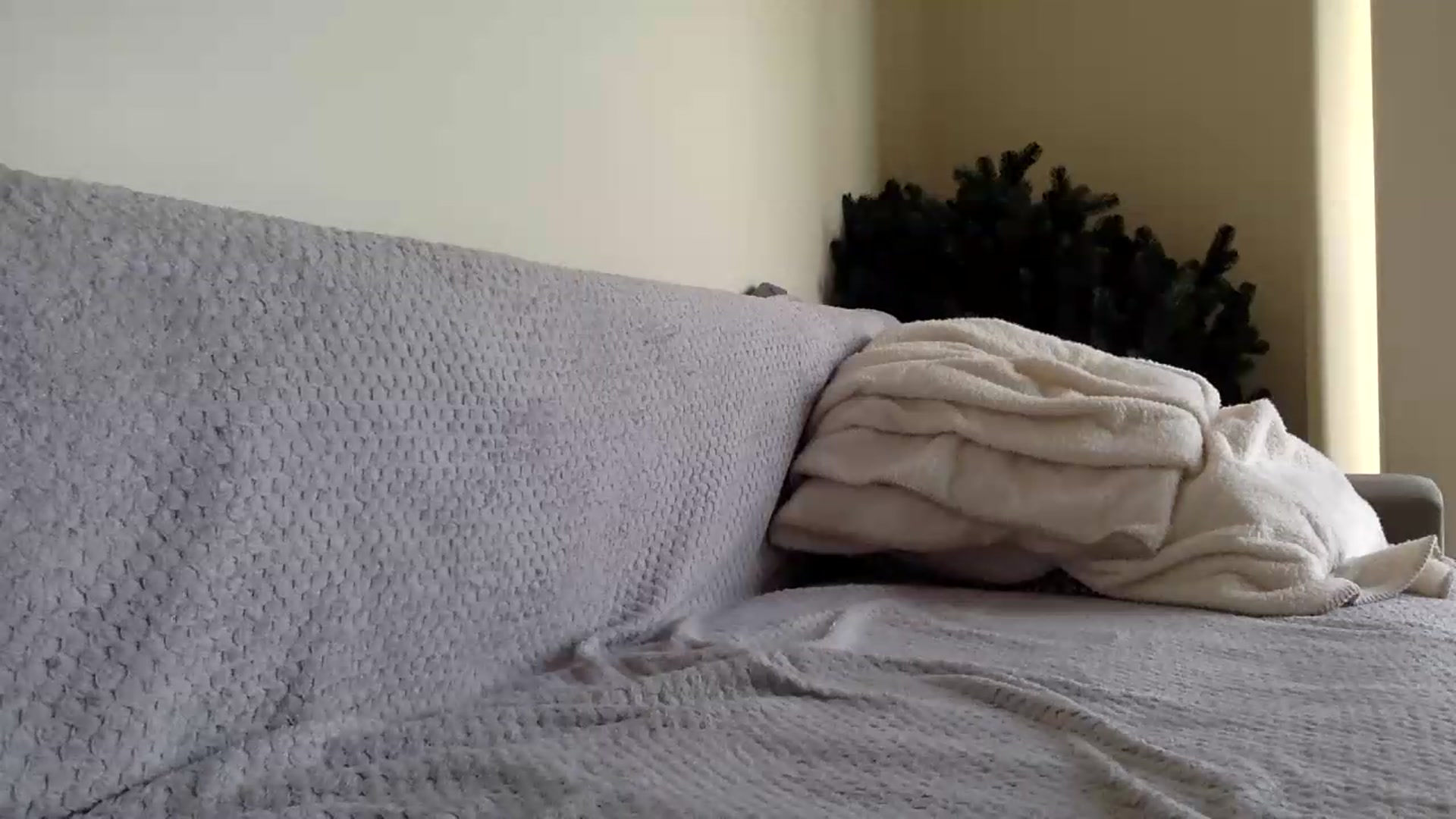 Gallery image thumbnail from Jasmi25's myfreecams stream on, 07/06/2026, 17:21 image 4 of 20