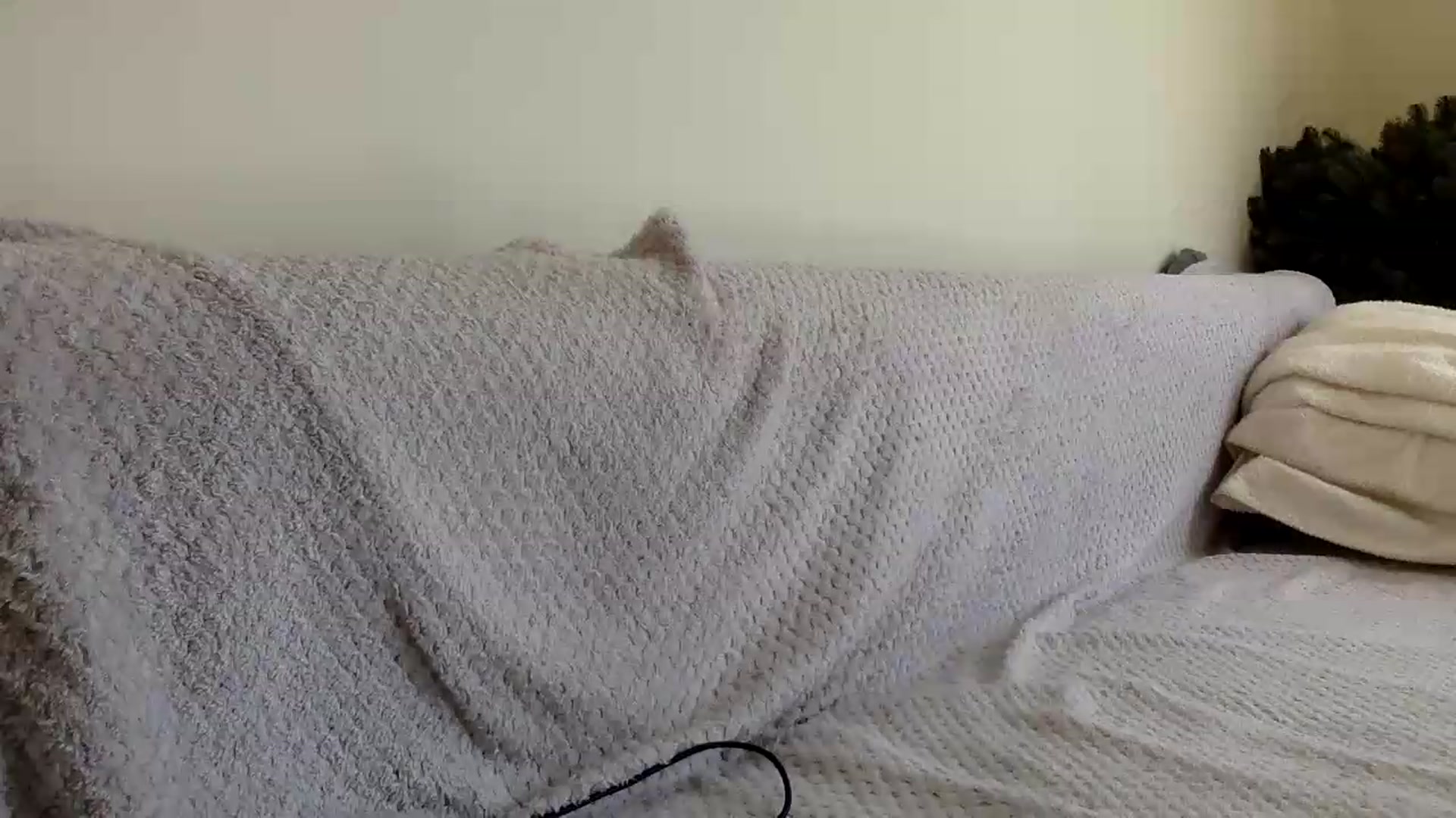 Gallery image thumbnail from Jasmi25's myfreecams stream on, 07/07/2026, 11:29 image 14 of 20
