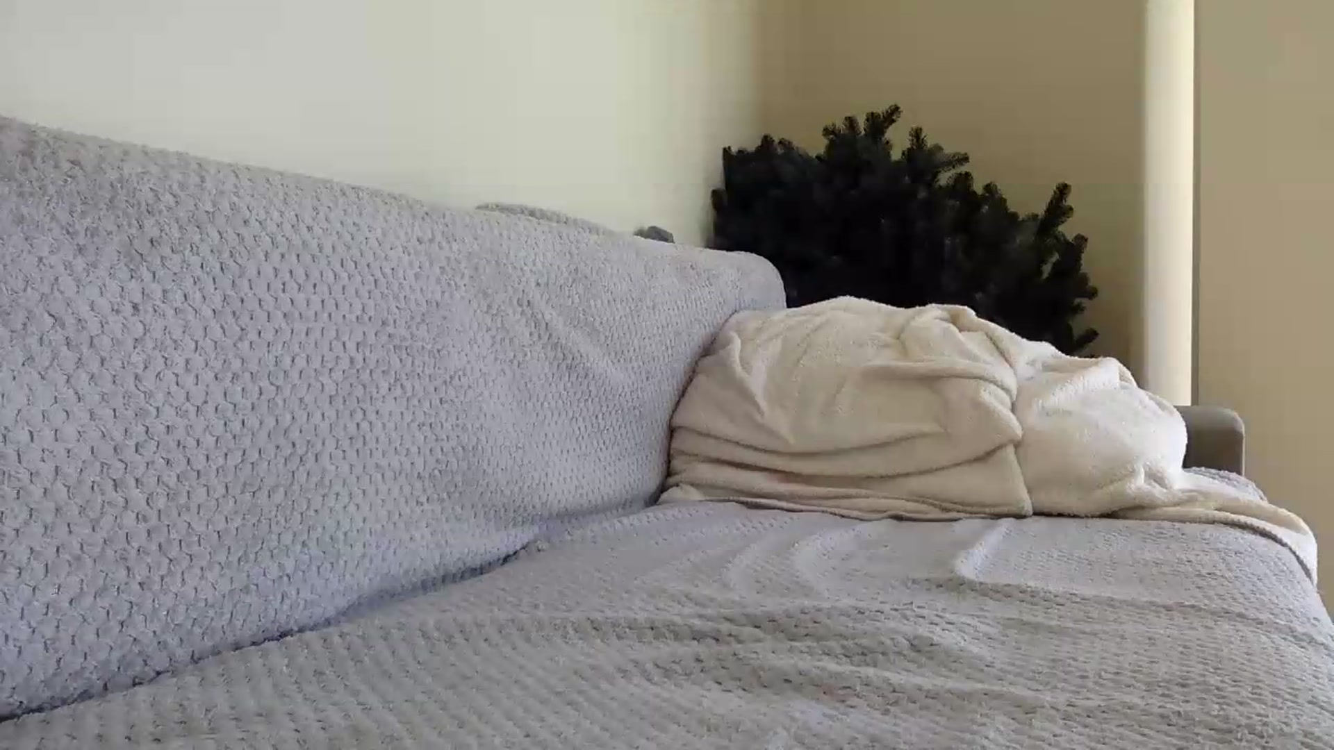 Gallery image thumbnail from Jasmi25's myfreecams stream on, 07/09/2026, 09:57 image 15 of 20