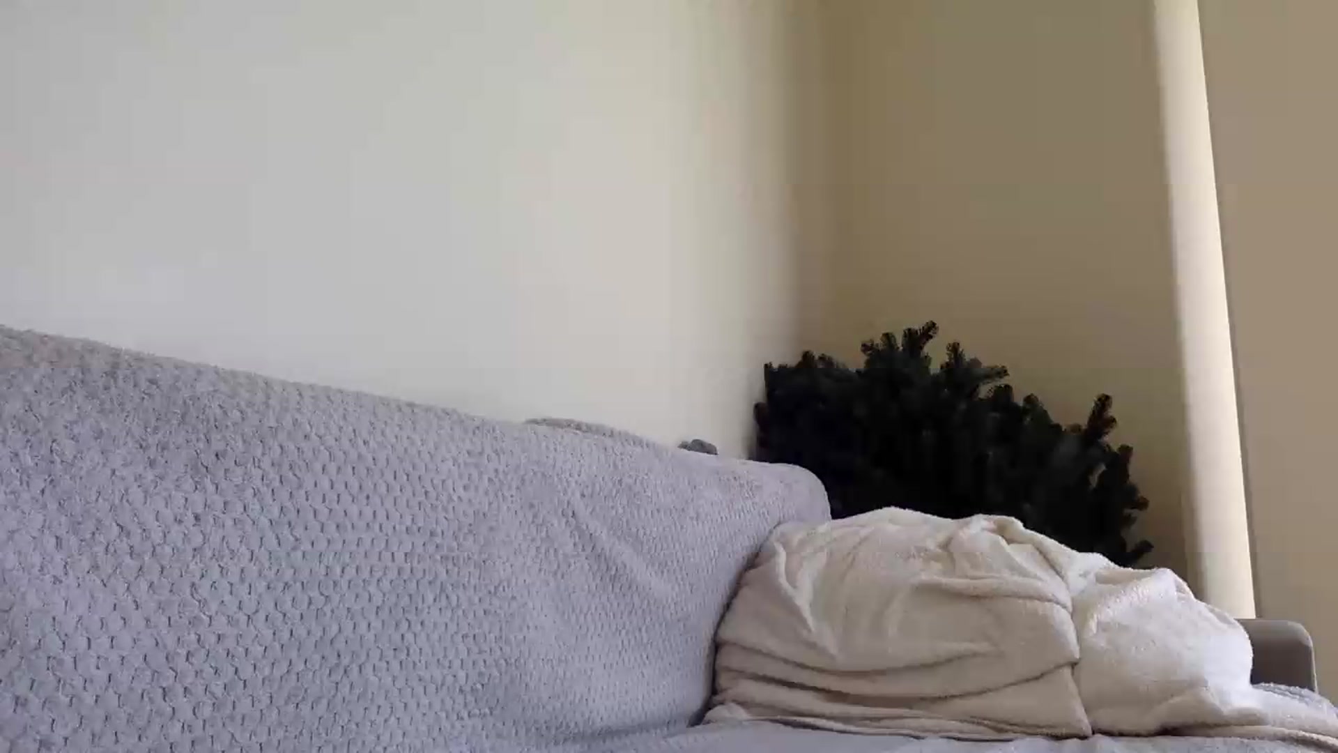 Gallery image thumbnail from Jasmi25's myfreecams stream on, 07/09/2026, 09:57 image 6 of 20