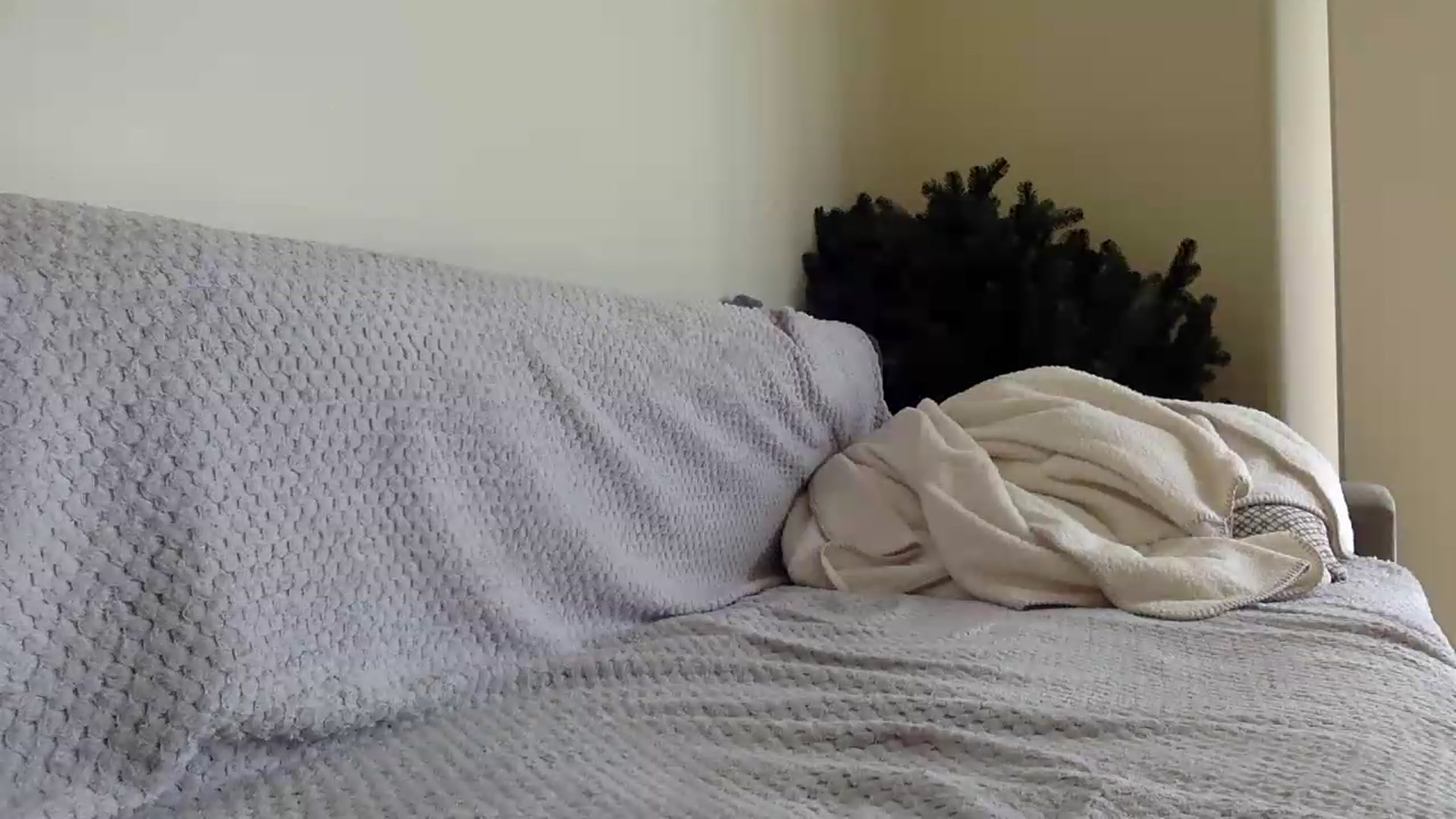 Gallery image thumbnail from Jasmi25's myfreecams stream on, 07/21/2026, 11:03 image 14 of 20
