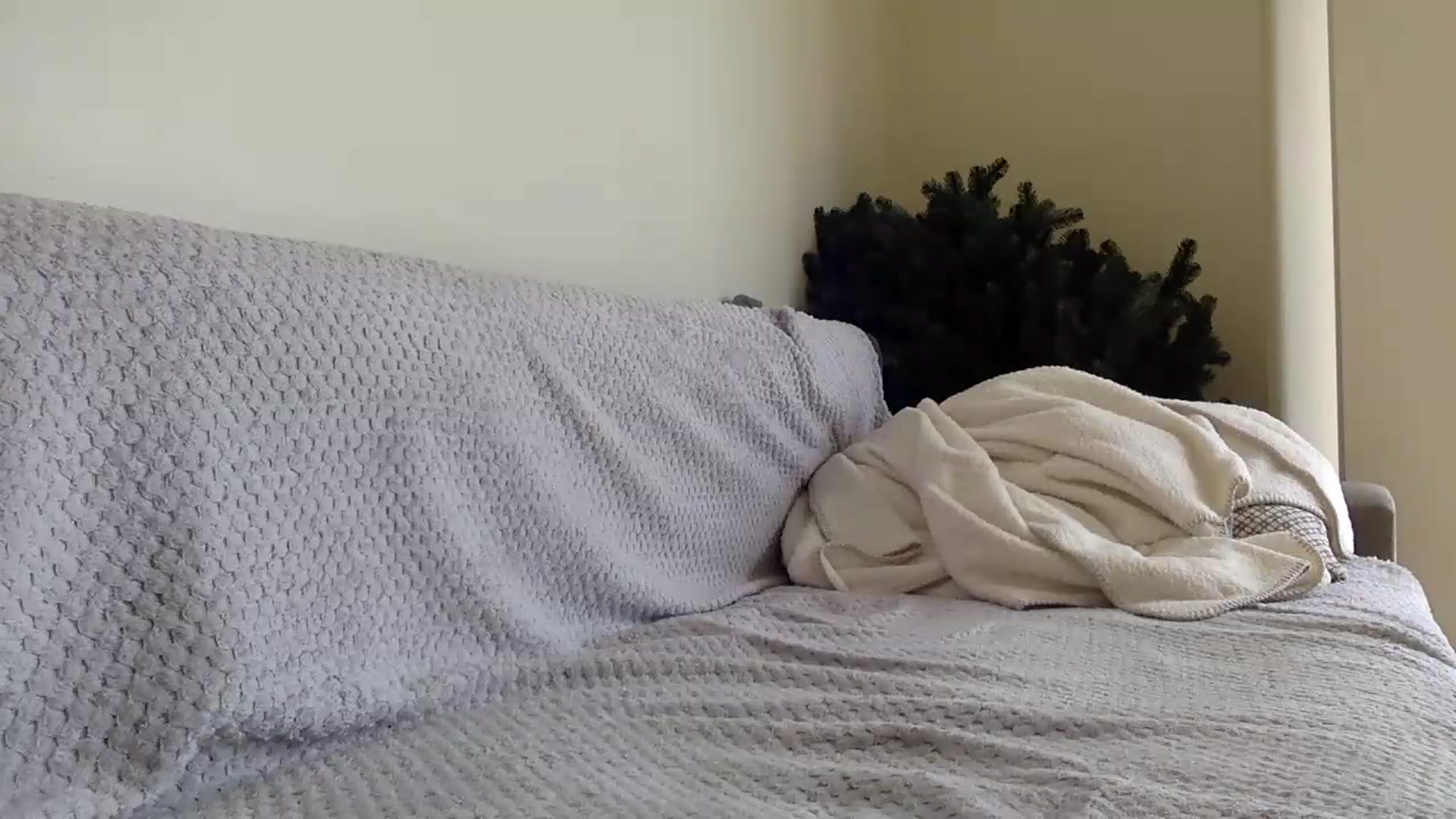 Gallery image thumbnail from Jasmi25's myfreecams stream on, 07/21/2026, 11:03 image 13 of 20