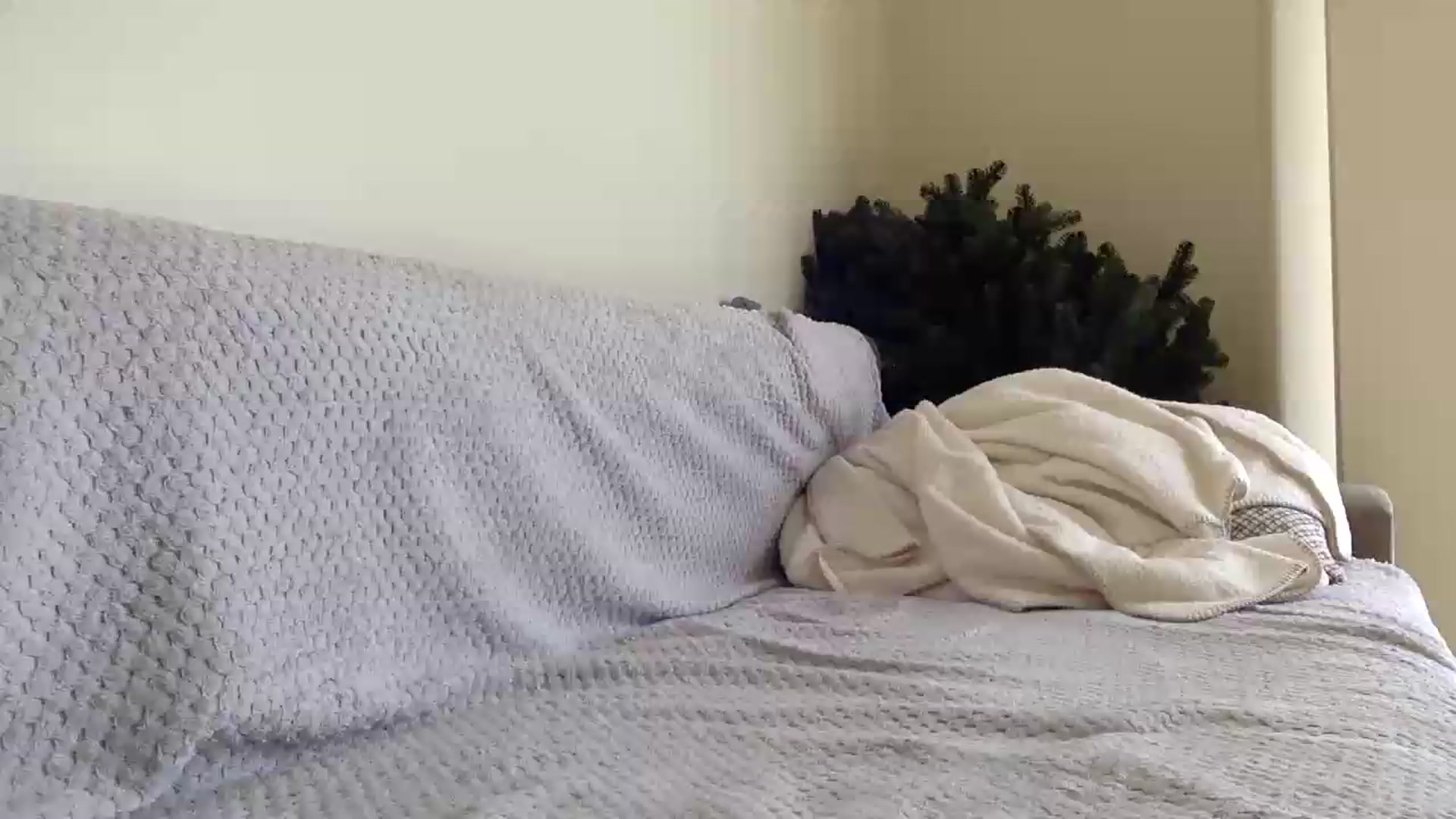 Gallery image thumbnail from Jasmi25's myfreecams stream on, 07/21/2026, 11:03 image 15 of 20