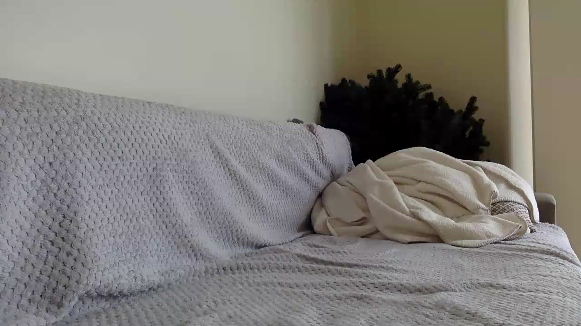 Gallery image thumbnail from Jasmi25's myfreecams stream on, 07/21/2026, 11:03 image 18 of 20