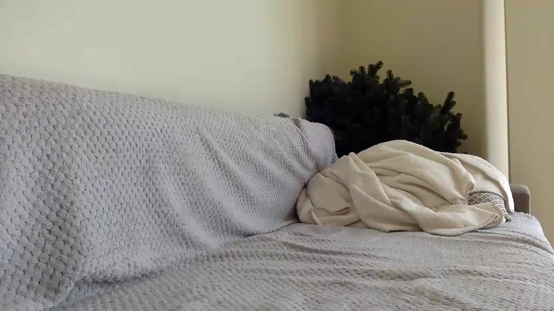 Gallery image thumbnail from Jasmi25's myfreecams stream on, 07/21/2026, 11:03 image 16 of 20