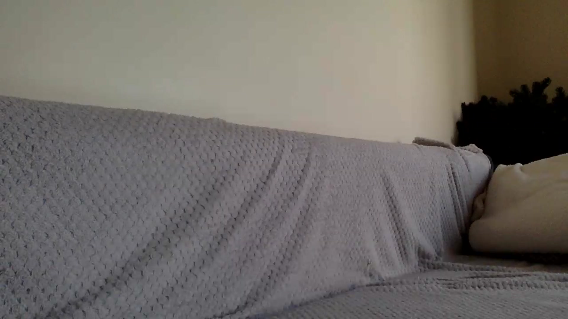 Gallery image thumbnail from Jasmi25's myfreecams stream on, 08/15/2026, 17:06 image 18 of 20