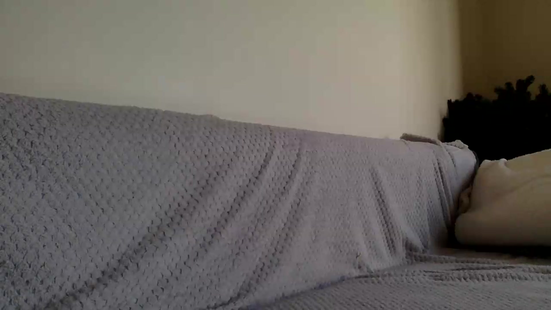 Gallery image thumbnail from Jasmi25's myfreecams stream on, 08/15/2026, 17:06 image 16 of 20