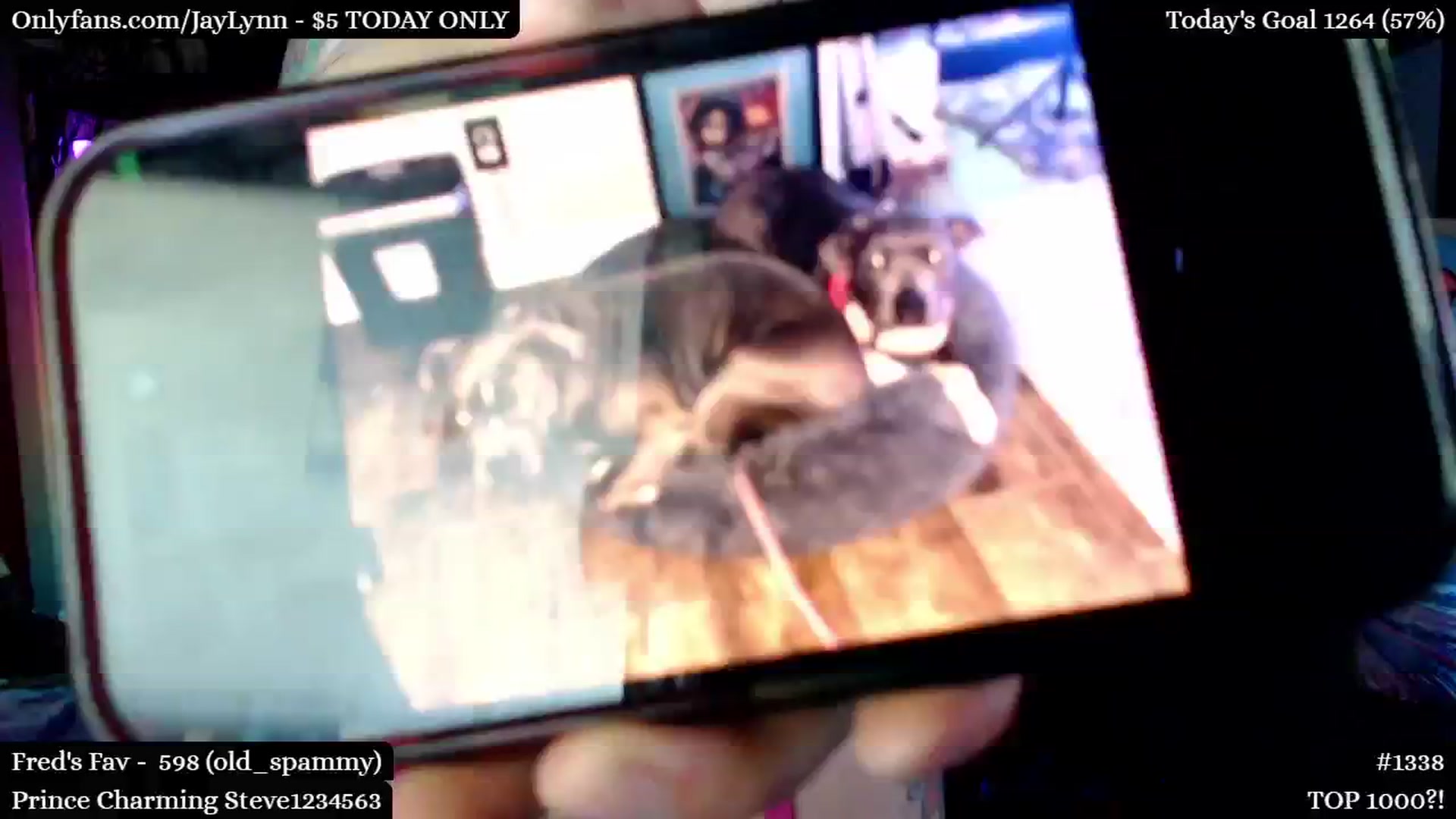 Gallery image thumbnail from JayLynn's myfreecams stream on, 04/30/2024, 06:41 image 14 of 20