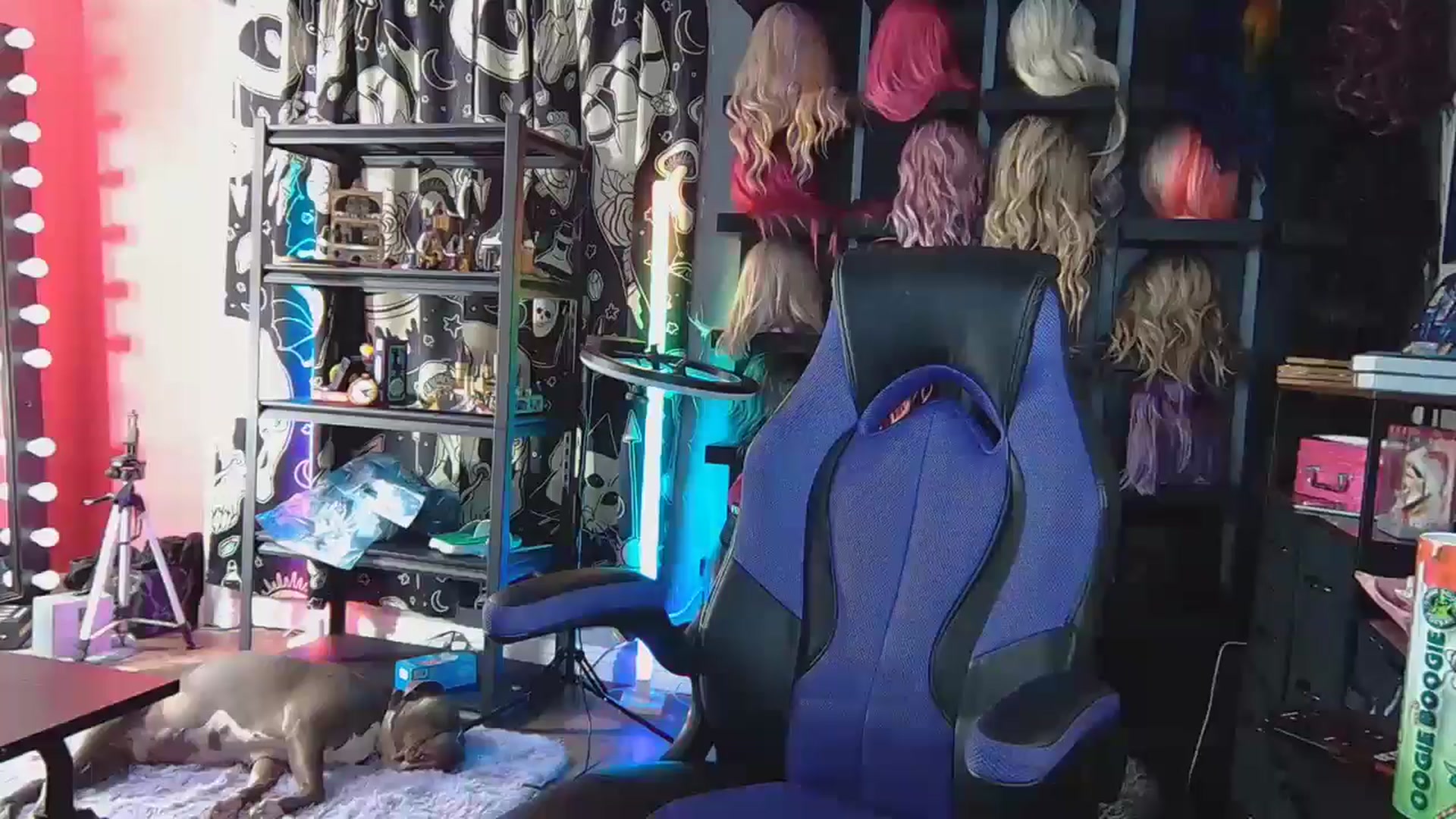Gallery image thumbnail from JayLynn's myfreecams stream on, 07/23/2024, 06:53 image 19 of 20