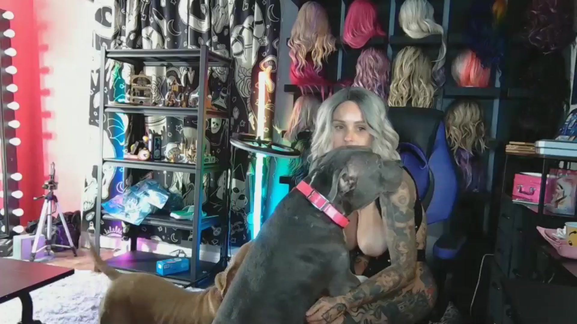 Gallery image thumbnail from JayLynn's myfreecams stream on, 07/23/2024, 07:05 image 10 of 20