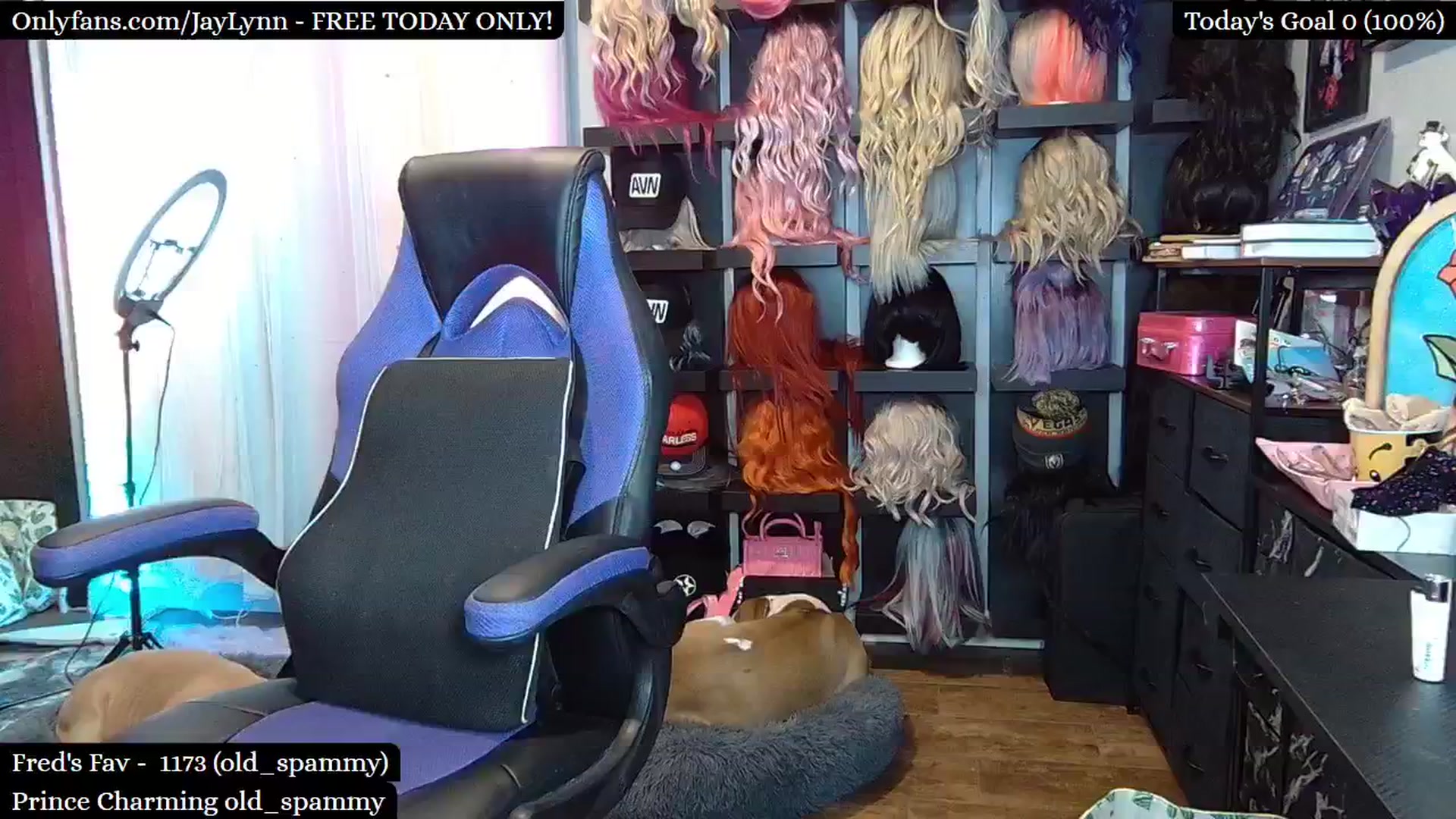 Gallery image thumbnail from JayLynn's myfreecams stream on, 11/16/2024, 10:45 image 7 of 20
