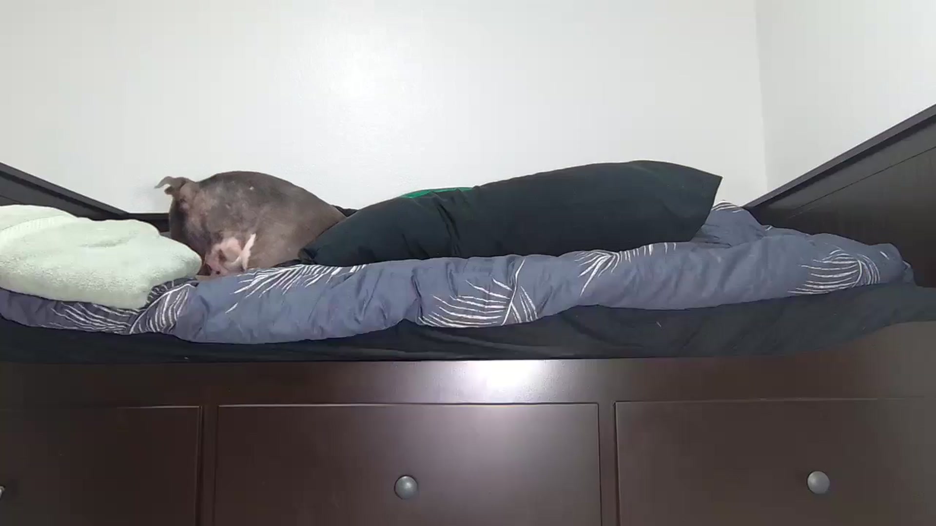 Gallery image thumbnail from JayLynn's myfreecams stream on, 06/03/2025, 12:01 image 14 of 20
