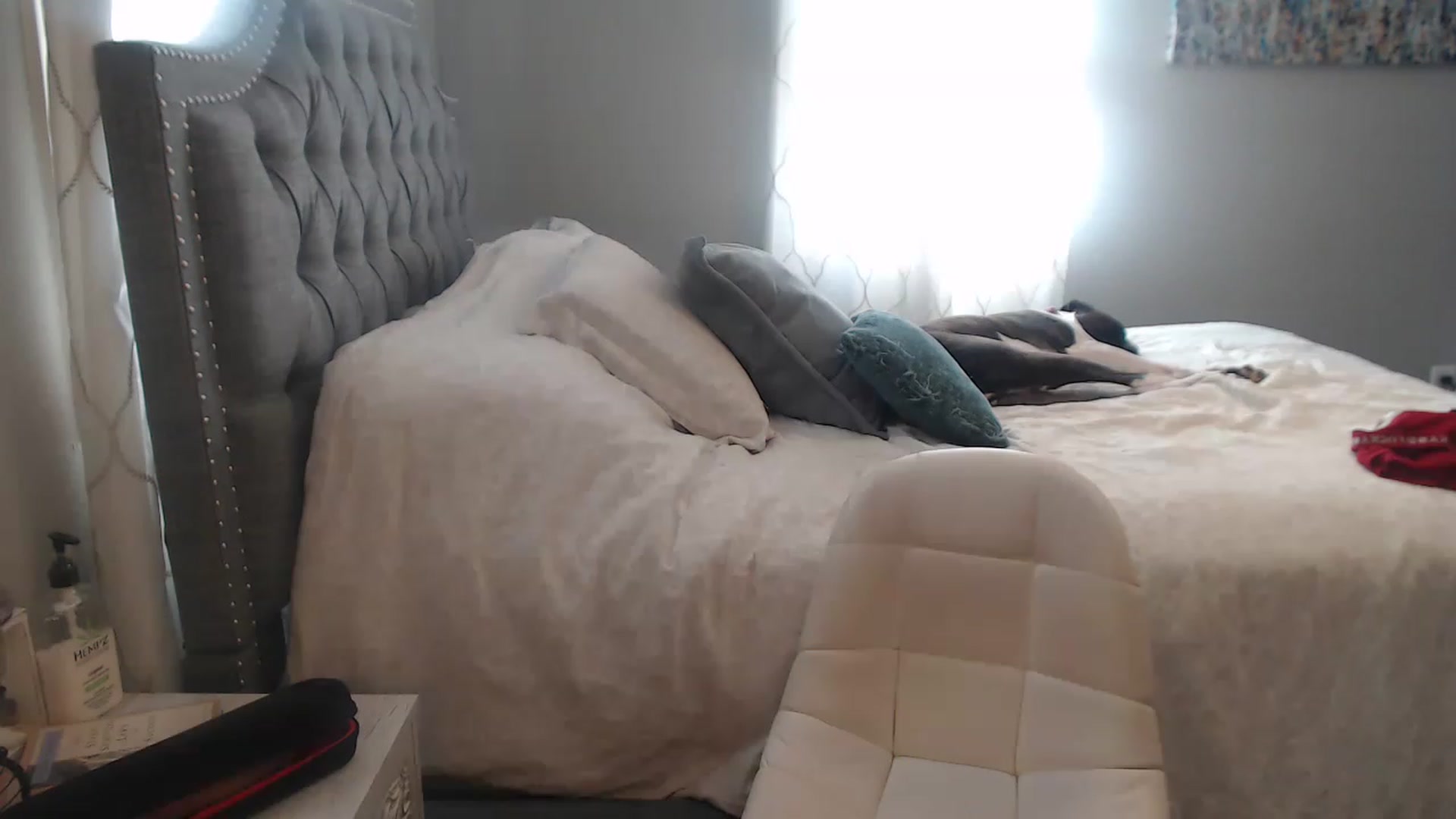 Gallery image thumbnail from JaydaKnight's myfreecams stream on, 11/22/2022, 18:24 image 19 of 20