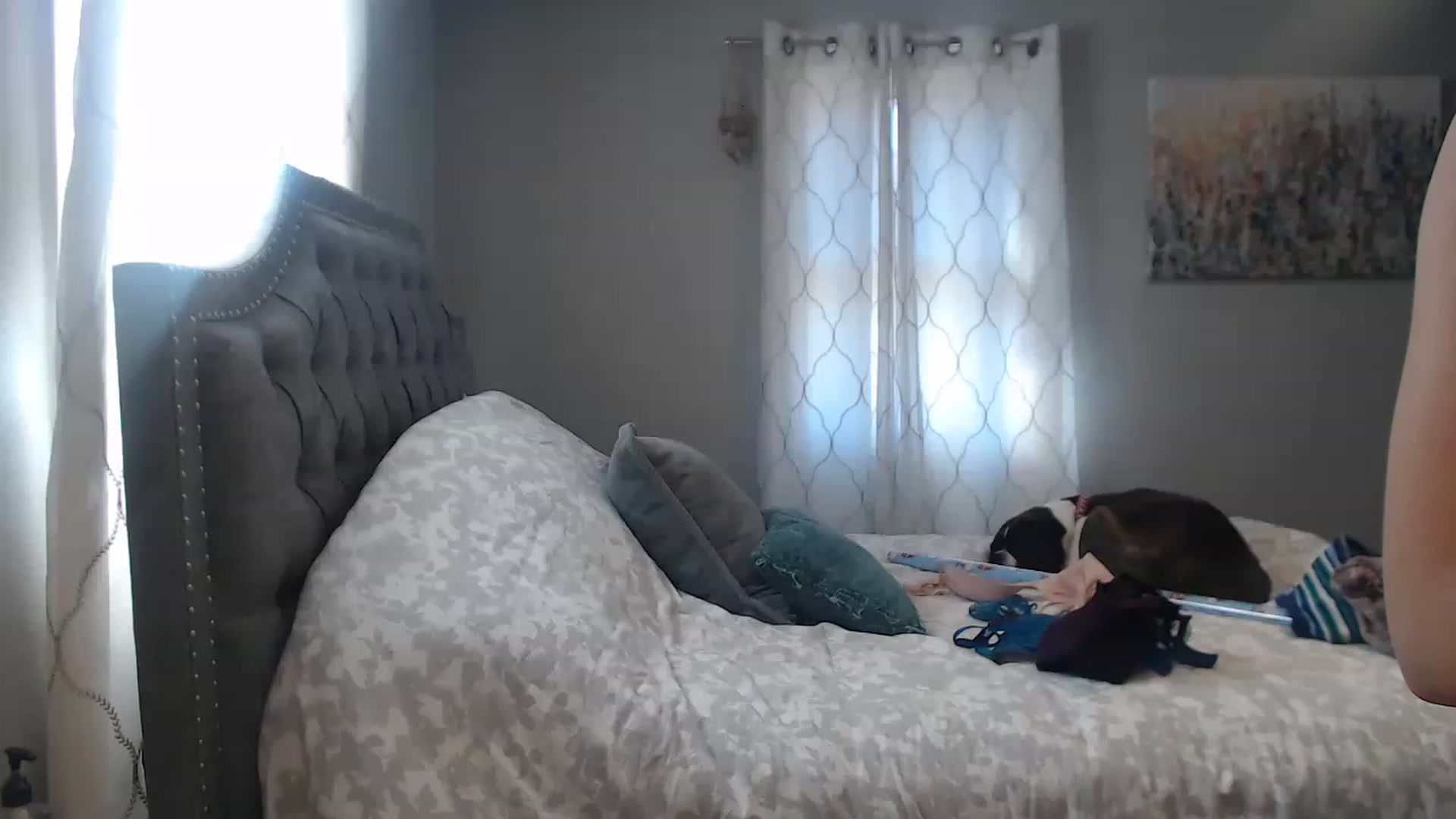 Gallery image thumbnail from JaydaKnight's myfreecams stream on, 12/09/2022, 16:27 image 1 of 20