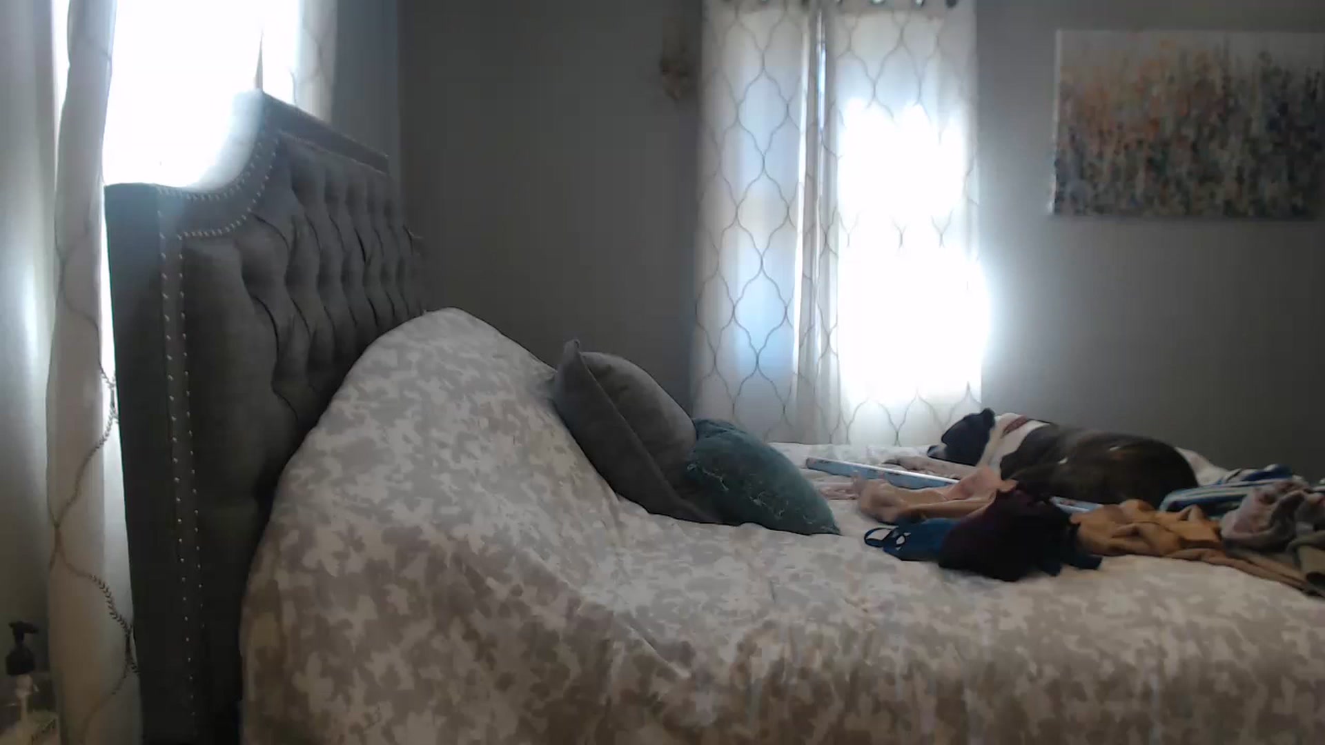 Gallery image thumbnail from JaydaKnight's myfreecams stream on, 12/09/2022, 17:44 image 5 of 20