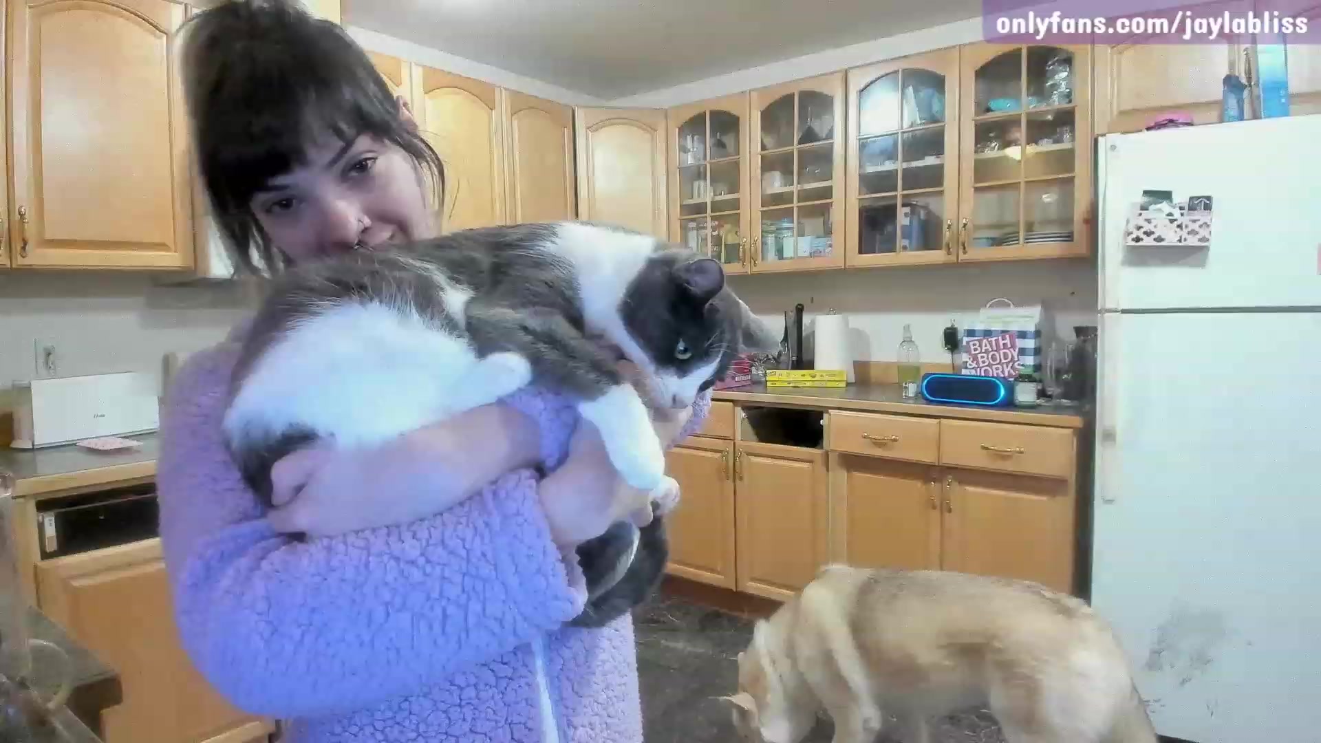 Gallery image thumbnail from JaylaBliss's myfreecams stream on, 01/29/2023, 03:31 image 15 of 20