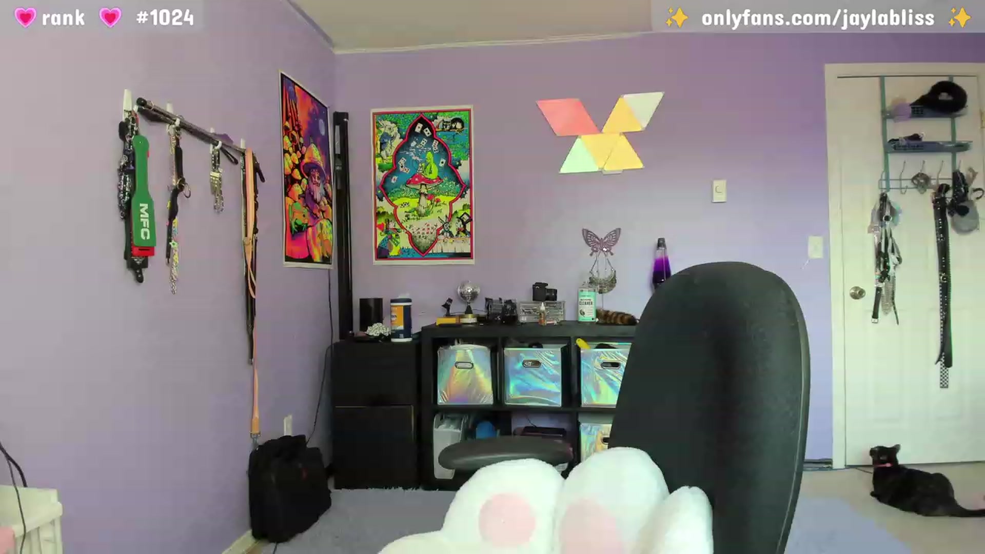 Gallery image thumbnail from JaylaBliss's myfreecams stream on, 03/19/2023, 24:48 image 10 of 20