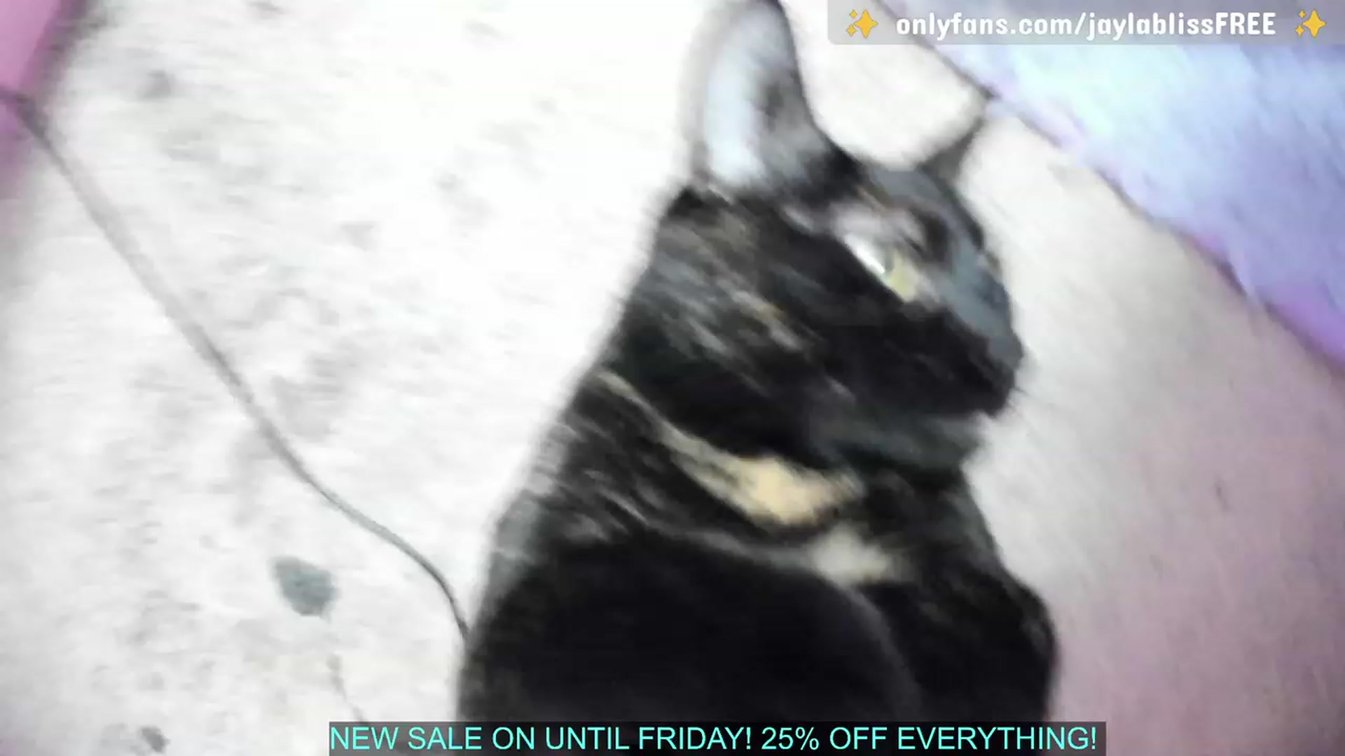 Gallery image thumbnail from JaylaBliss's myfreecams stream on, 04/25/2023, 06:09 image 12 of 20