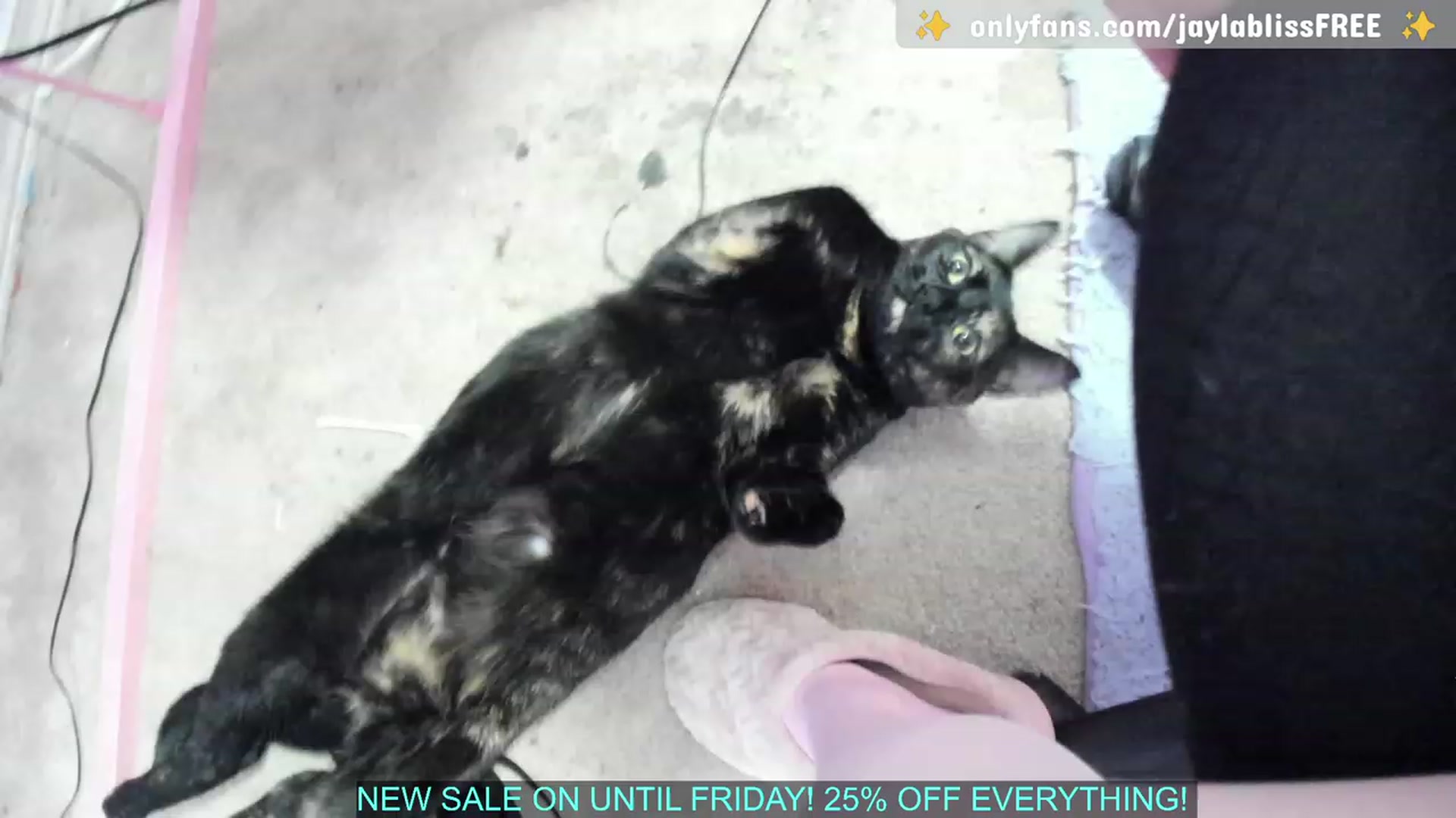 Gallery image thumbnail from JaylaBliss's myfreecams stream on, 04/25/2023, 06:09 image 11 of 20