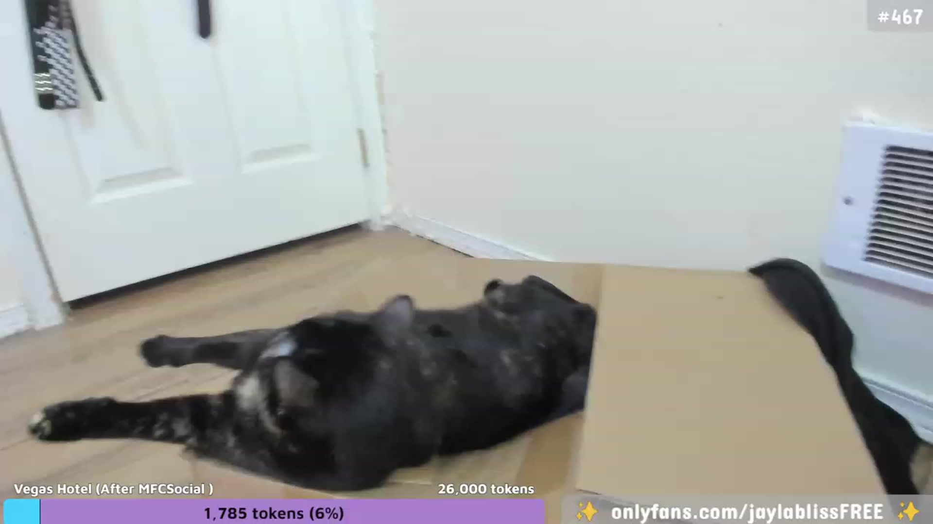Gallery image thumbnail from JaylaBliss's myfreecams stream on, 09/23/2023, 15:08 image 4 of 20