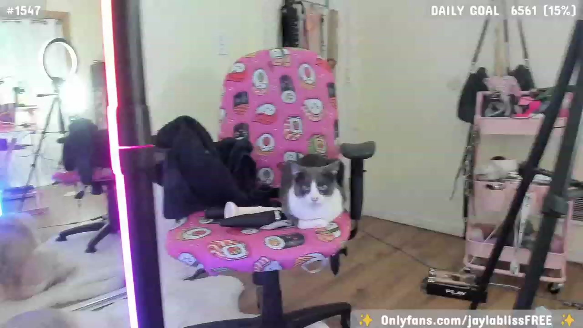 Gallery image thumbnail from JaylaBliss's myfreecams stream on, 10/24/2023, 08:40 image 14 of 20