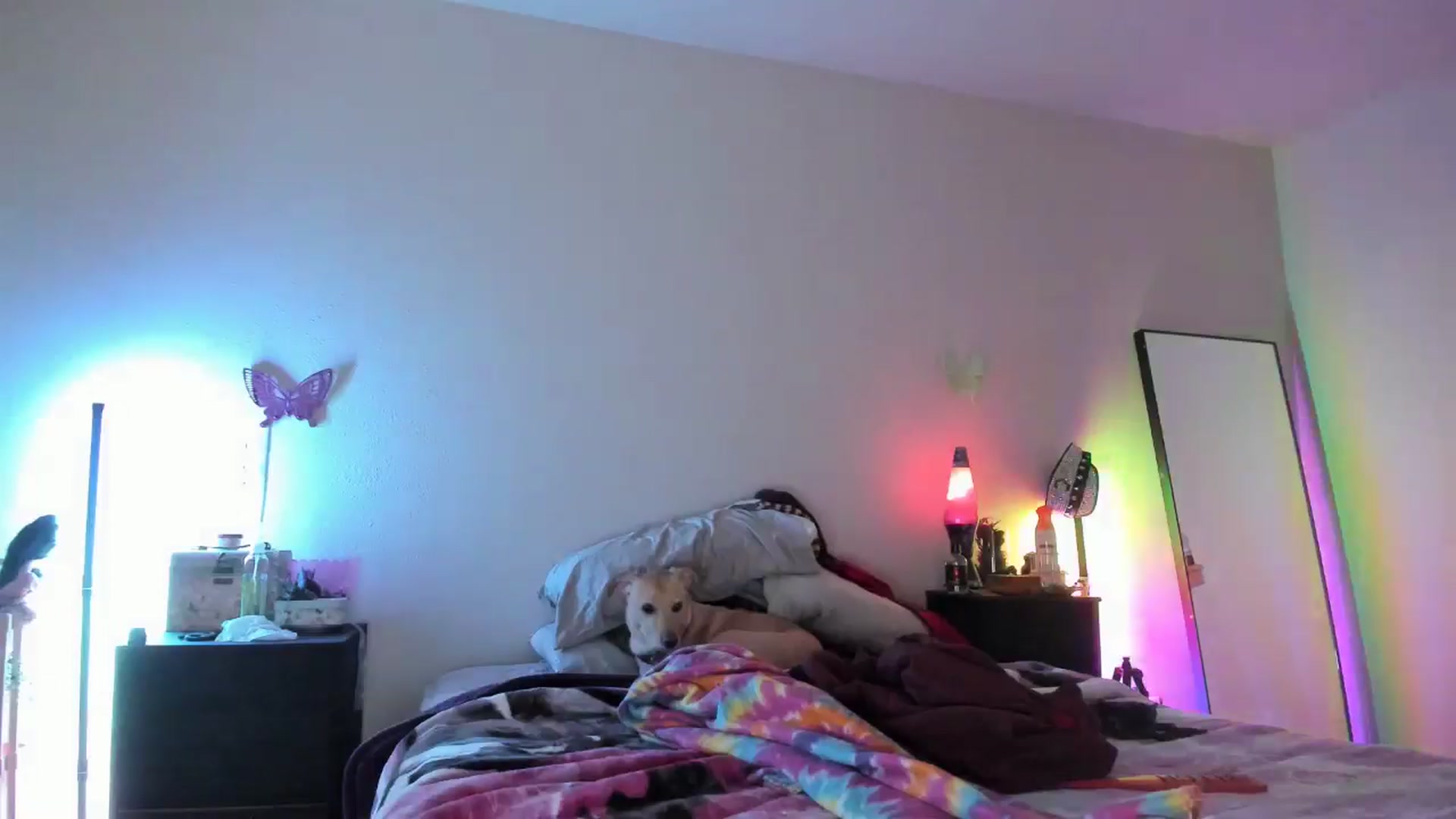 Gallery image thumbnail from JaylaBliss's myfreecams stream on, 05/19/2024, 10:31 image 3 of 20