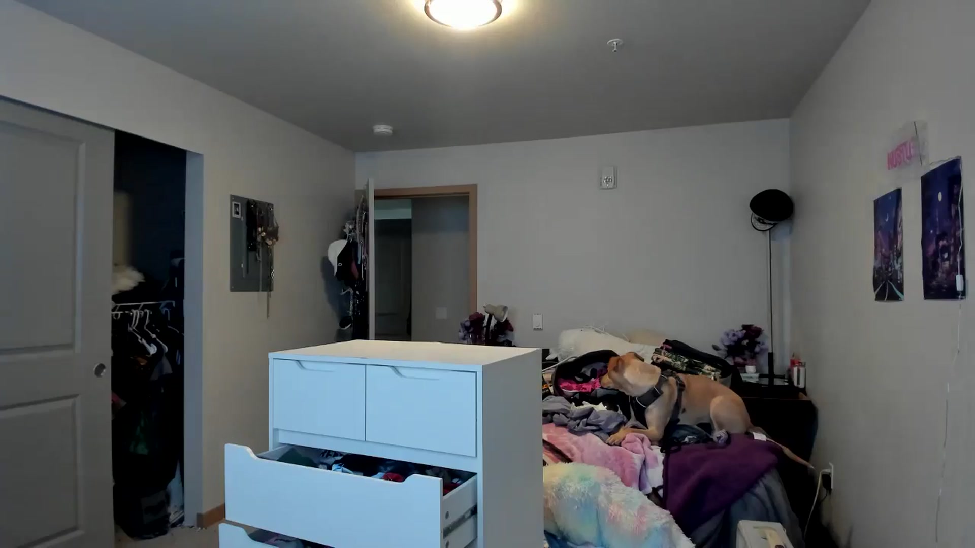 Gallery image thumbnail from JaylaBliss's myfreecams stream on, 06/18/2024, 24:01 image 13 of 20