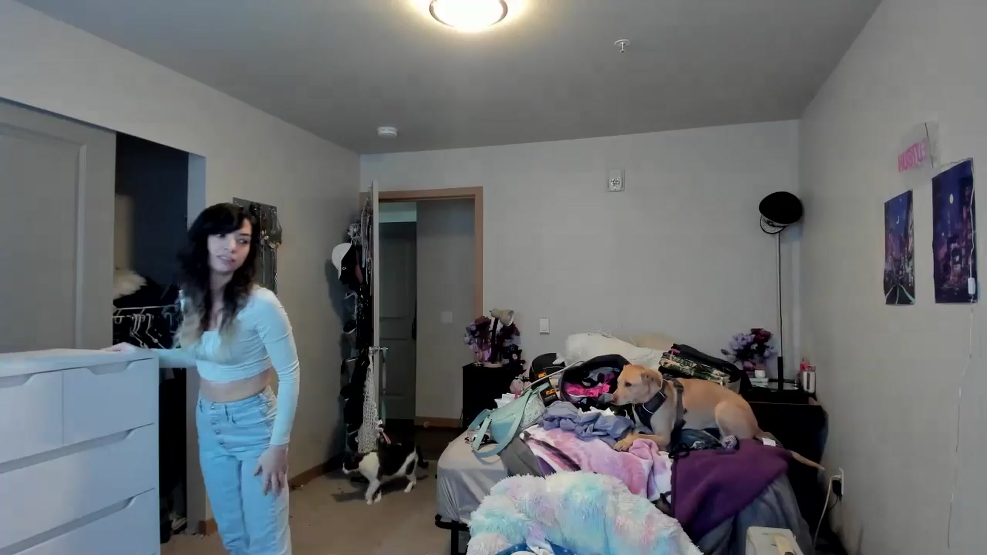 Gallery image thumbnail from JaylaBliss's myfreecams stream on, 06/18/2024, 24:01 image 12 of 20