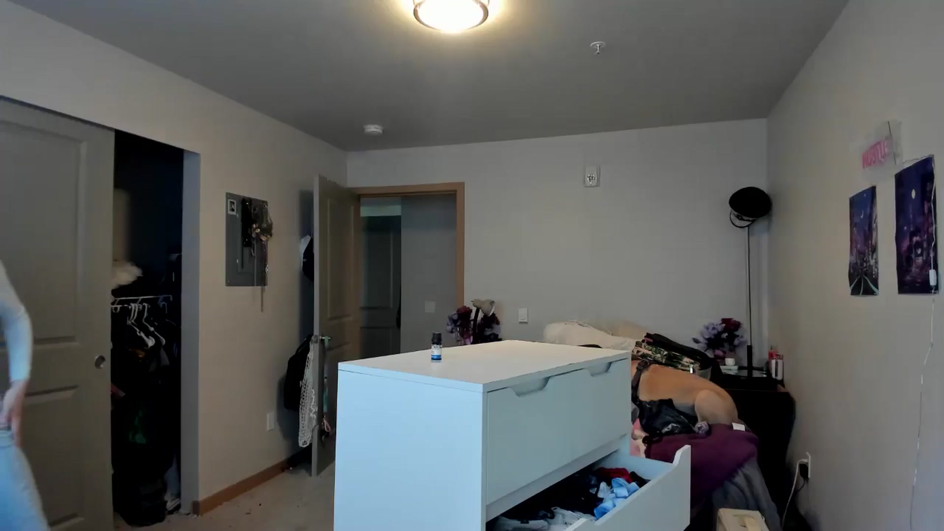 Gallery image thumbnail from JaylaBliss's myfreecams stream on, 06/18/2024, 24:01 image 15 of 20