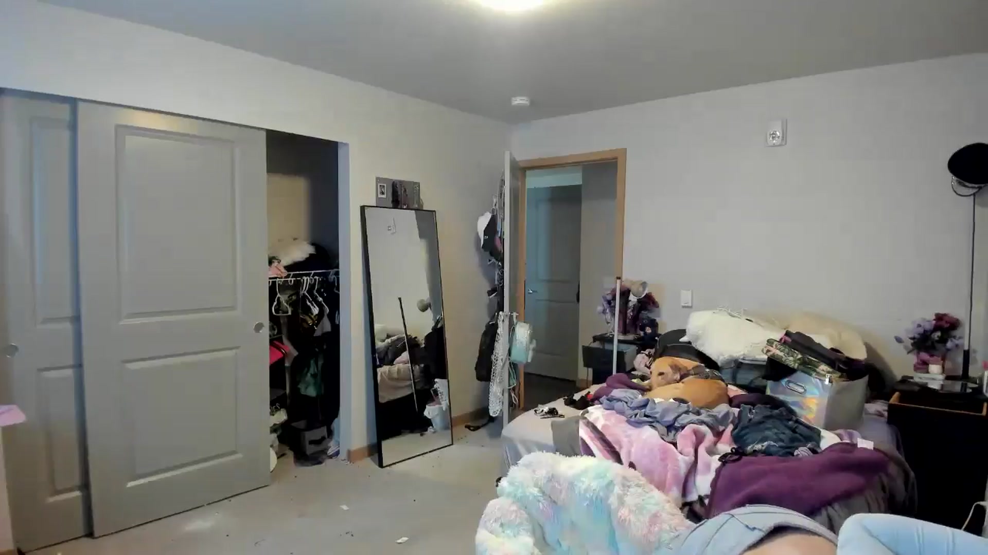 Gallery image thumbnail from JaylaBliss's myfreecams stream on, 06/18/2024, 24:40 image 9 of 20