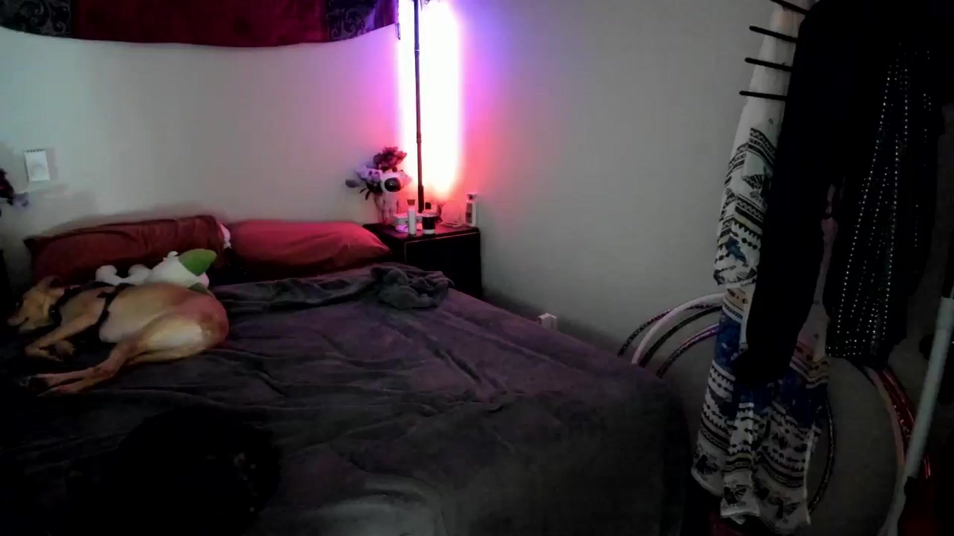 Gallery image thumbnail from JaylaBliss's myfreecams stream on, 07/01/2024, 10:42 image 10 of 20