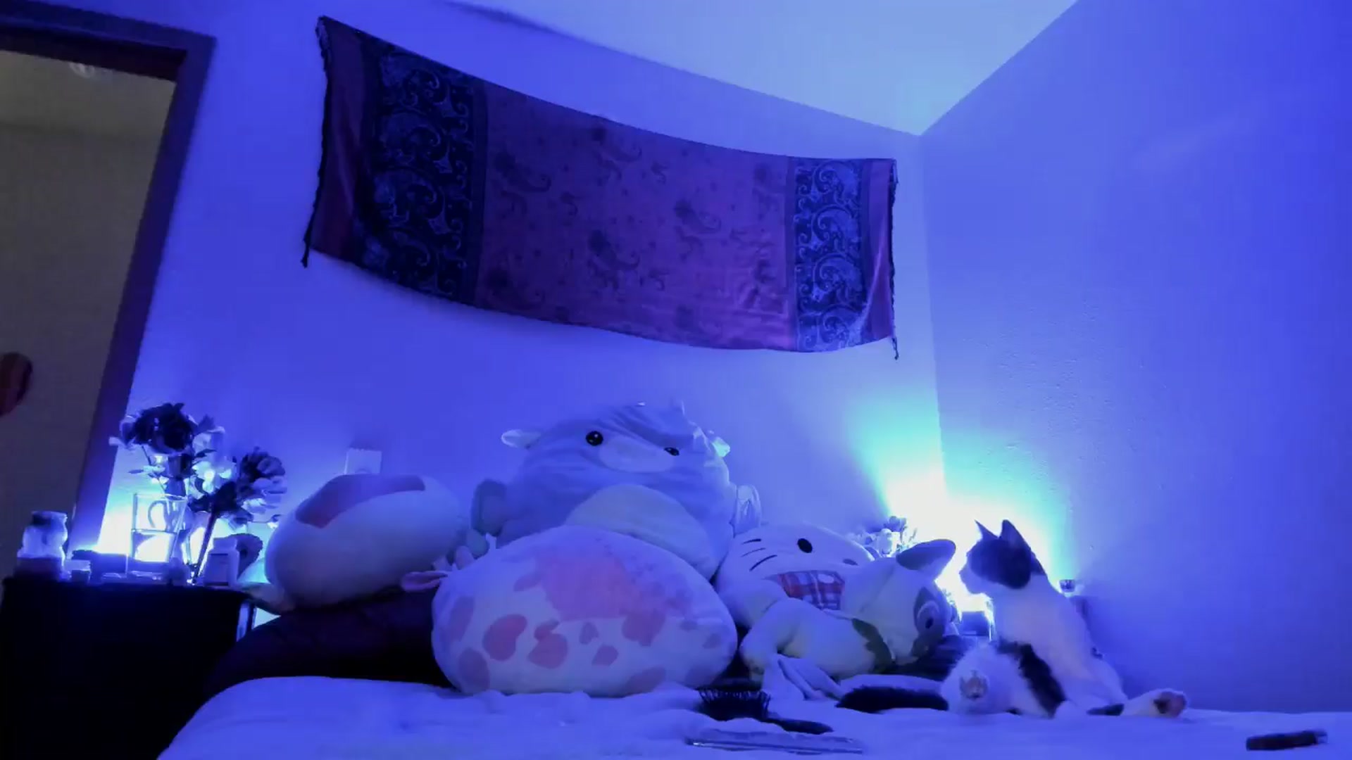 Gallery image thumbnail from JaylaBliss's myfreecams stream on, 07/02/2024, 10:50 image 18 of 20