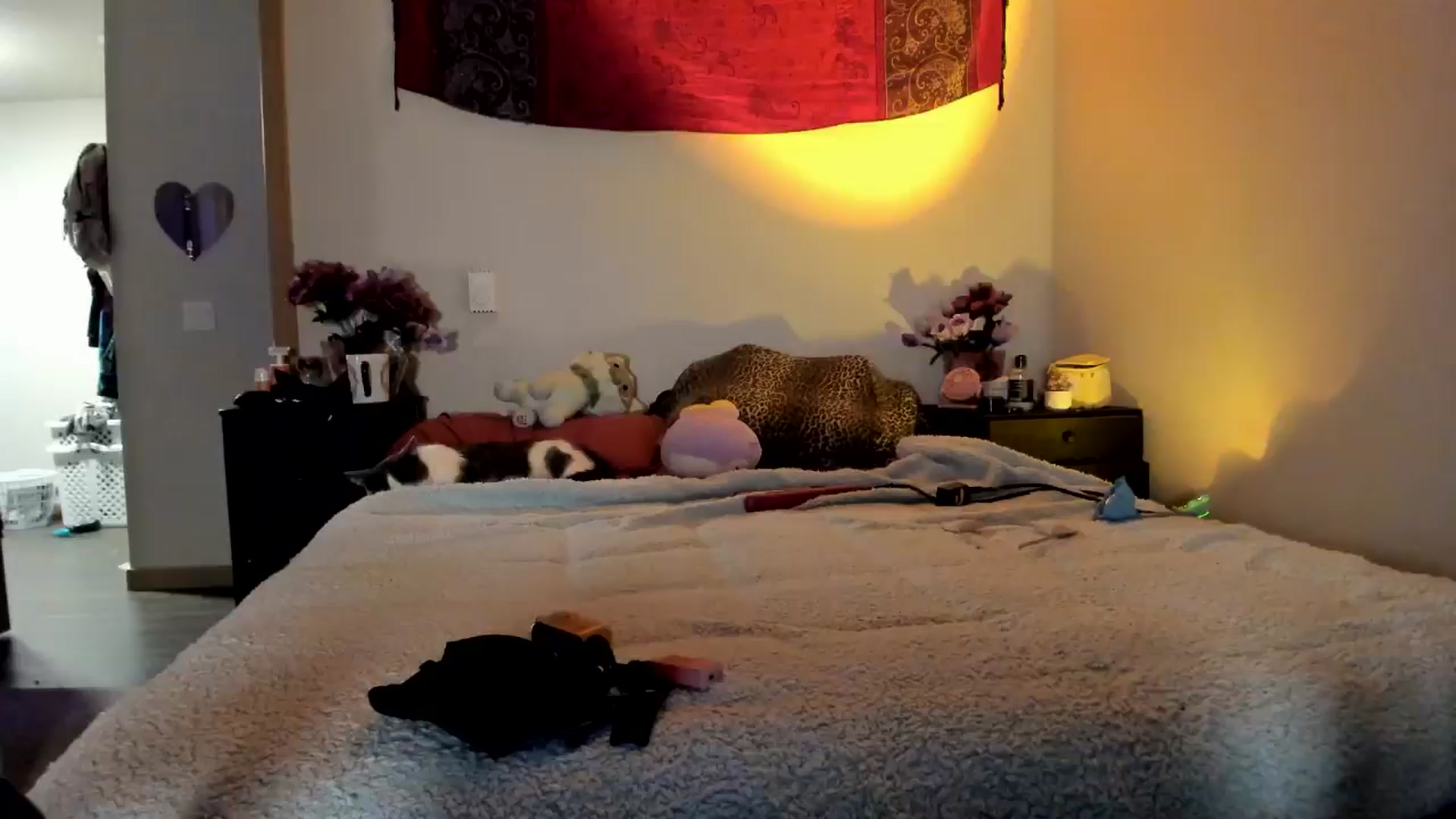 Gallery image thumbnail from JaylaBliss's myfreecams stream on, 07/07/2024, 13:17 image 14 of 20