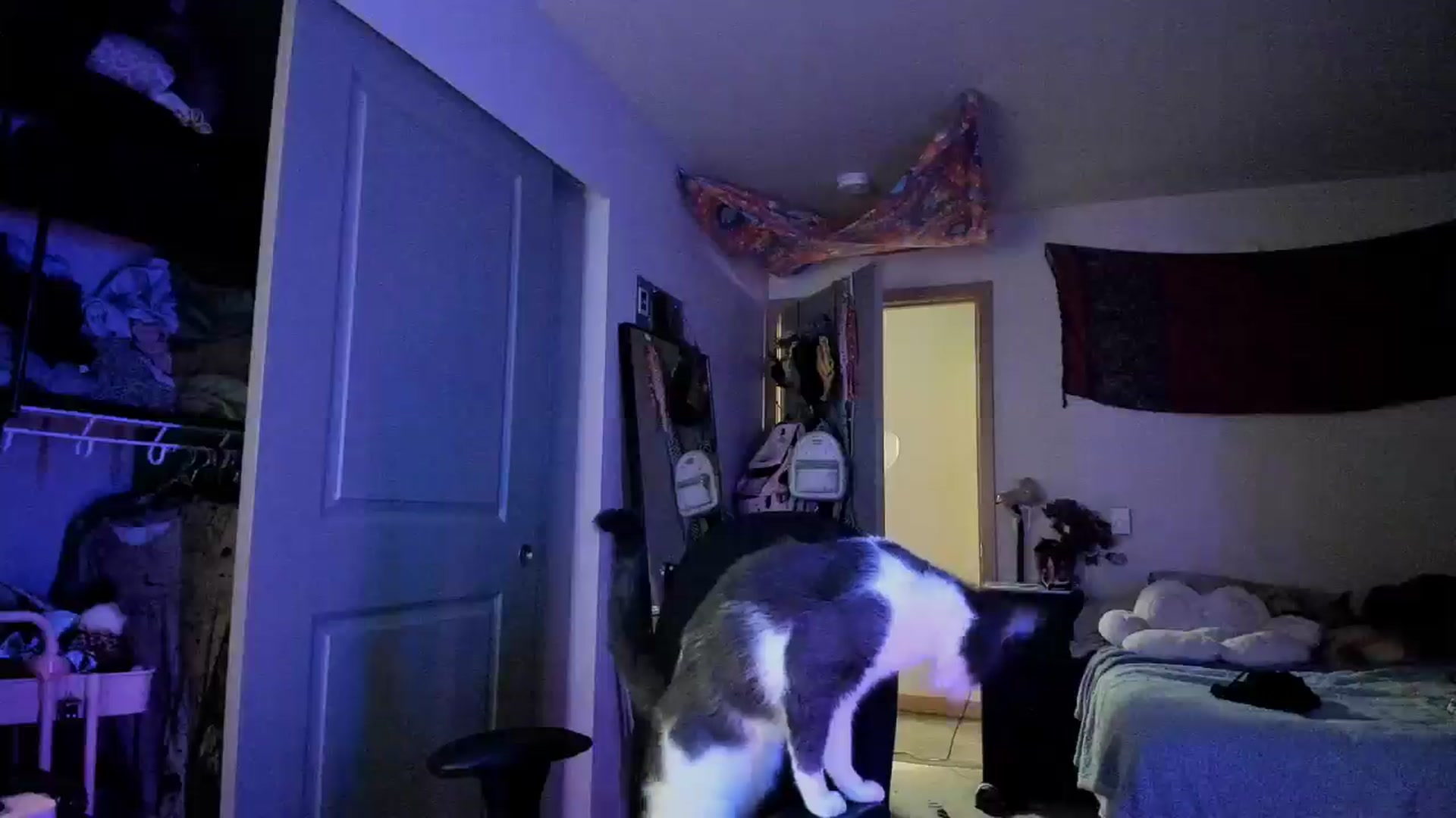 Gallery image thumbnail from JaylaBliss's myfreecams stream on, 07/27/2024, 09:20 image 18 of 20