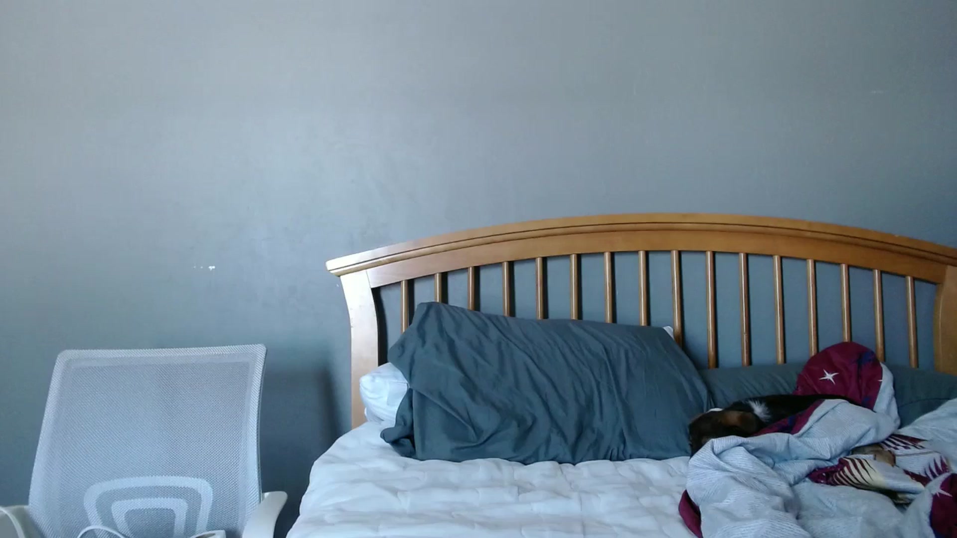 Gallery image thumbnail from JaylaBliss's myfreecams stream on, 01/28/2026, 17:51 image 3 of 20
