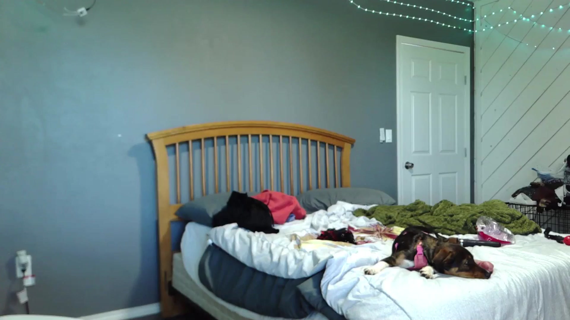 Gallery image thumbnail from JaylaBliss's myfreecams stream on, 04/18/2026, 18:08 image 20 of 20